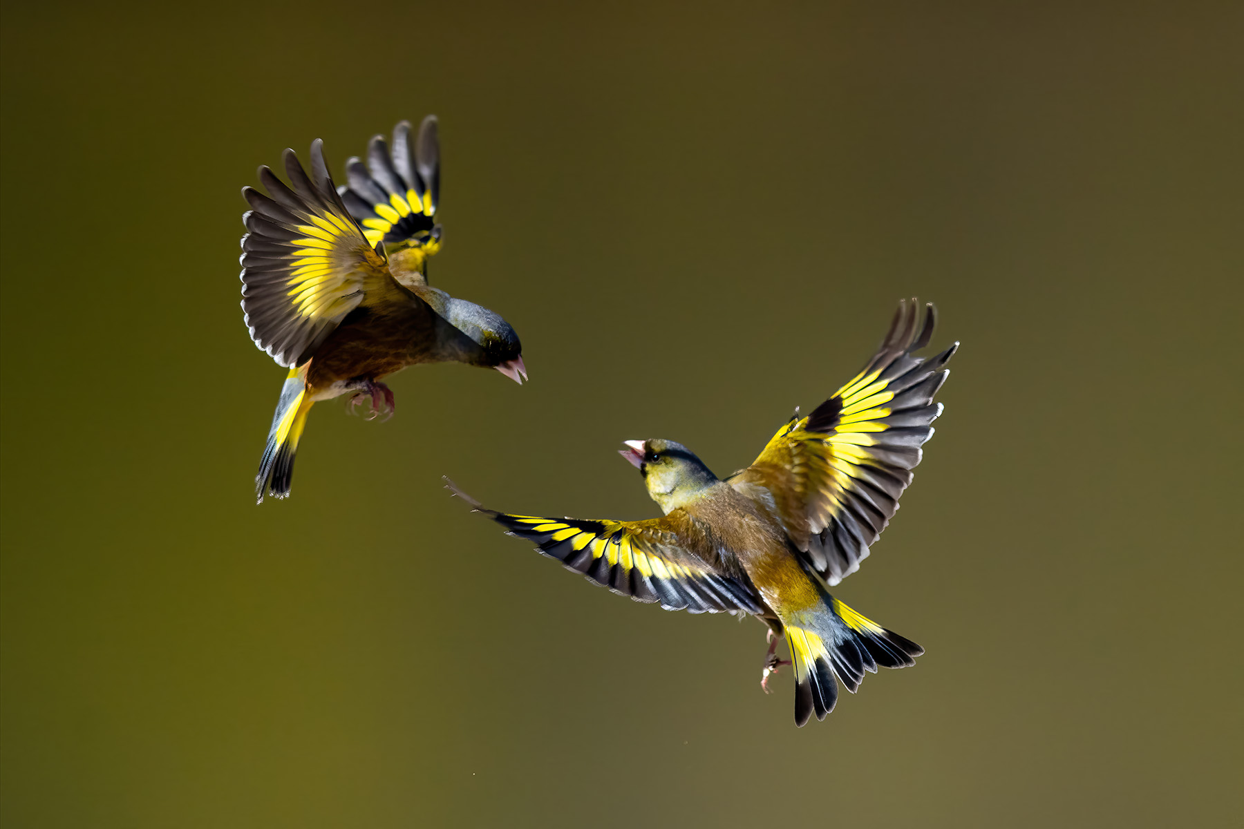 | PHOTO BY : 발전 박용식  |