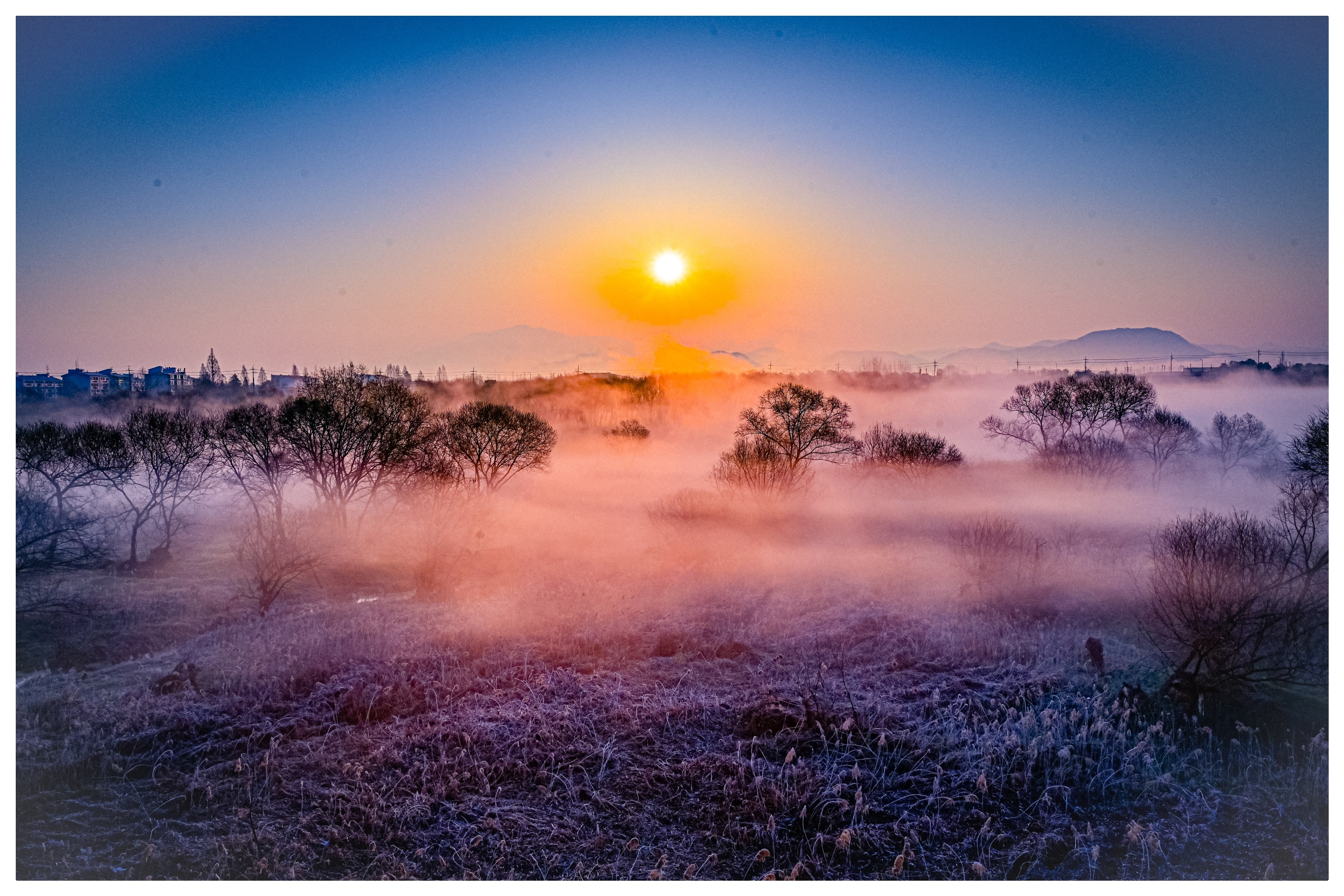 PHOTO BY  | NIKON Z 7_2 | 2024:03:15 07:15:15 | ISO-200 | 31/10000 sec | f 13 | 30 mm | EV=0 | ● WIDTH:  HEIGHT: