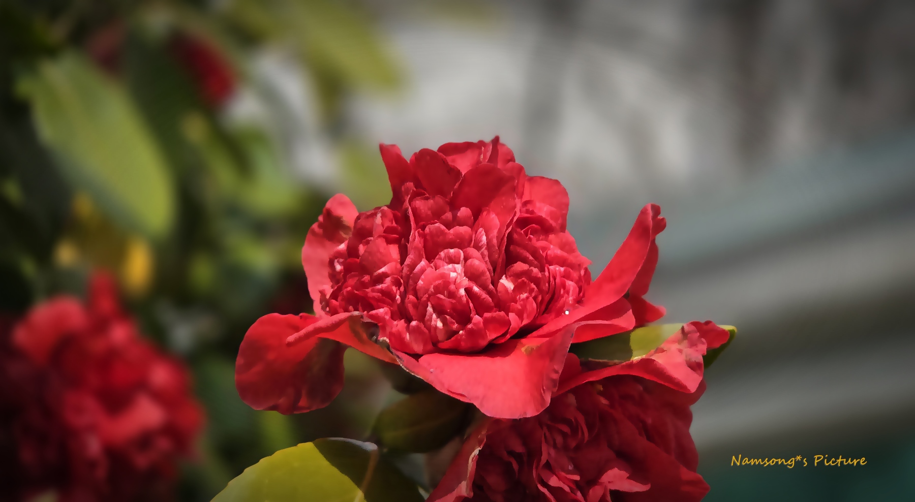 PHOTO BY  | Galaxy S24 Ultra | 2024:03:12 10:50:33 | ISO-50 | 1/3869 sec | f 2.4 | 7.9 mm | EV=0 | ● WIDTH:4000 pixels  HEIGHT:2252 pixels