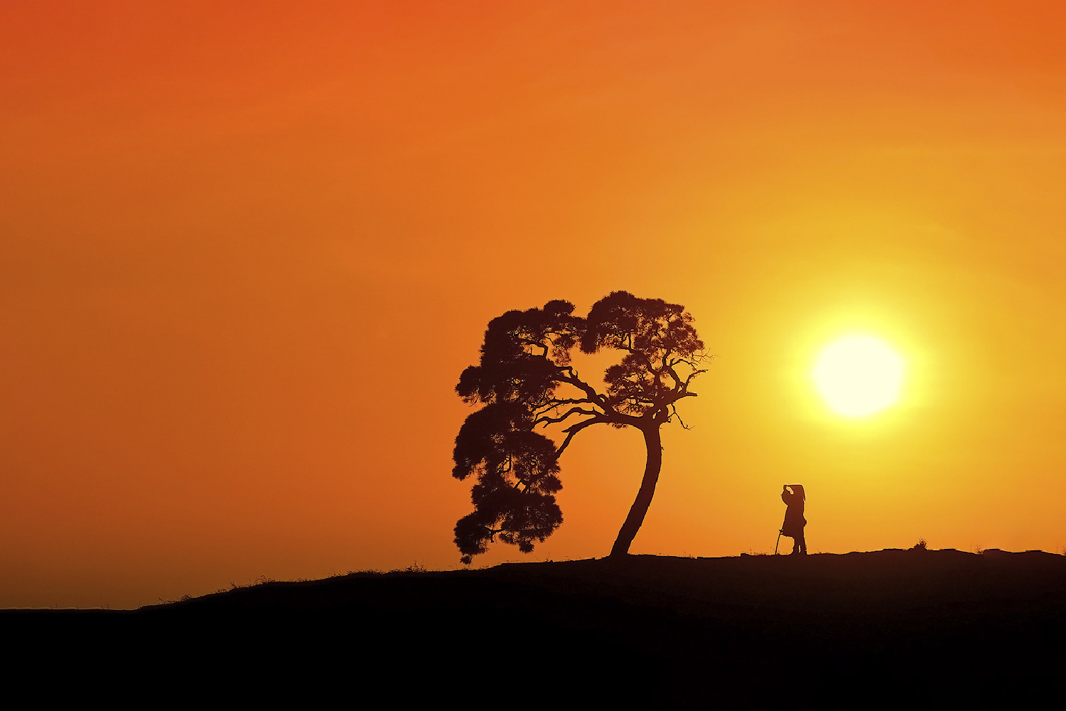 PHOTO BY  | CanonCanon  |  | ISO- |  |  |  | EV=0 | ● WIDTH:  HEIGHT: