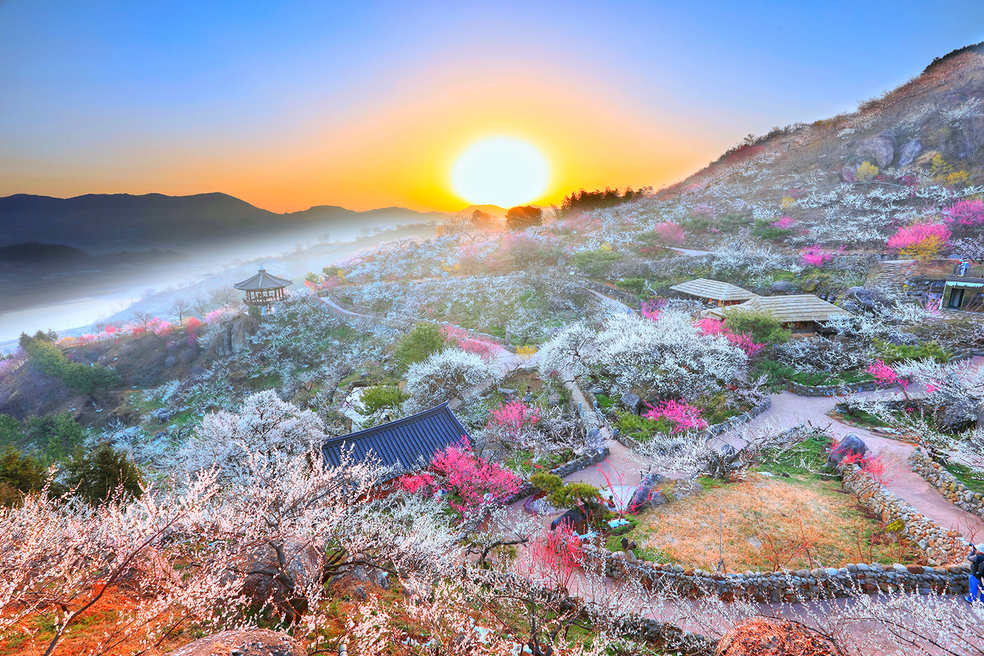 PHOTO BY  | Canon EOS 5D Mark IV | 2022:03:16 07:02:26 | ISO-100 | 1/125 sec | f 11 | 16 mm | EV=0 | ● WIDTH:1400 pixels  HEIGHT:933 pixels