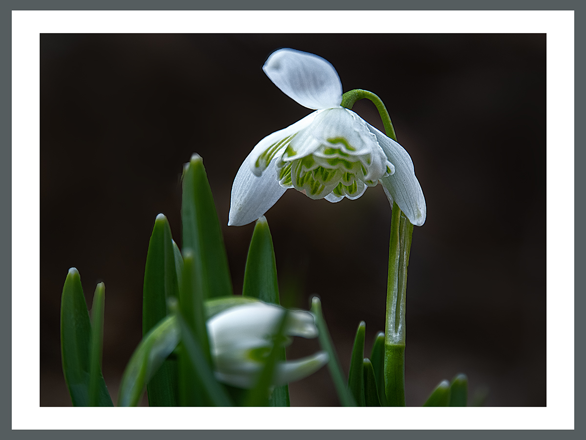 PHOTO BY  | ILCE-6500 | 2024:03:13 11:21:06 | ISO-400 | 1/60 sec | f 6.7 | 186.1 mm | EV=-0.5 | ● WIDTH:1200 pixels  HEIGHT:902 pixels