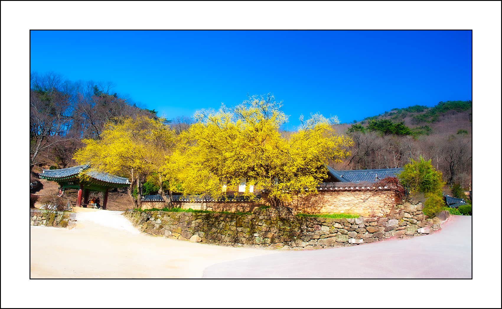   | PHOTO BY : 삿갓/정봉식  |