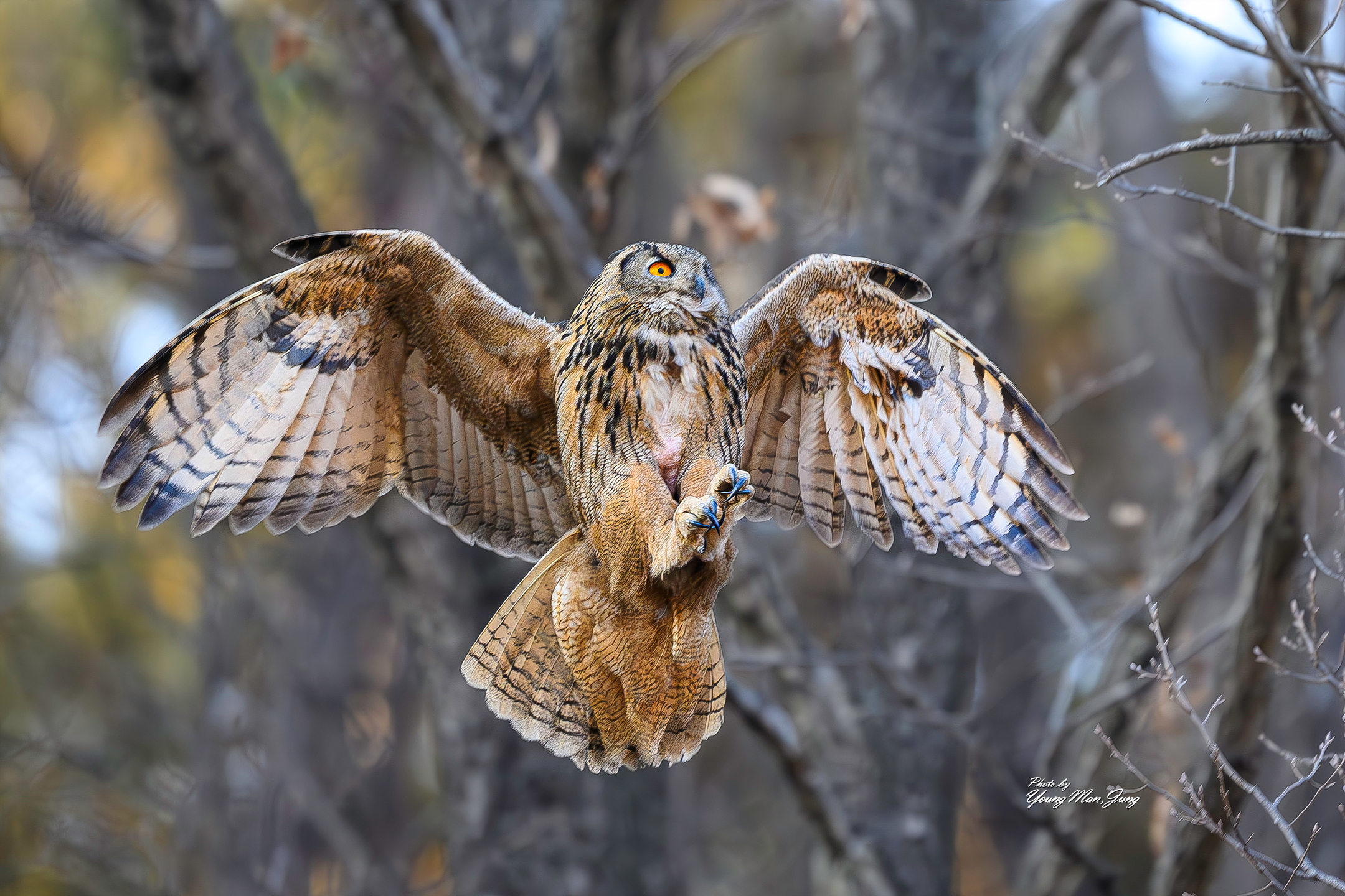 | PHOTO BY : 카파/정영만  |