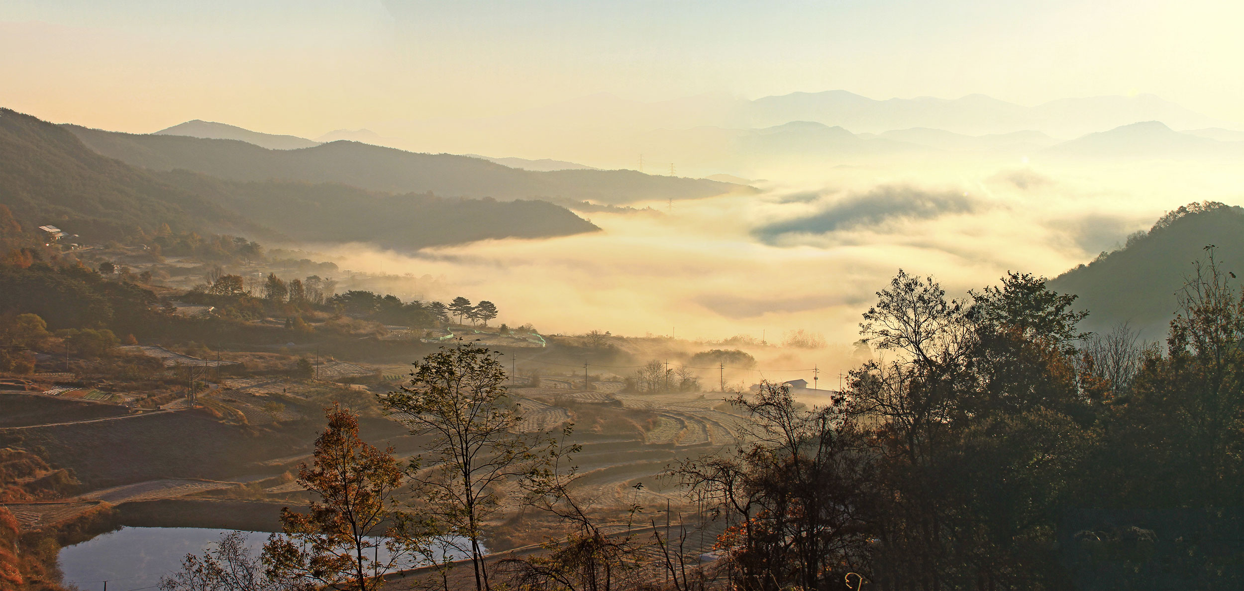   | PHOTO BY : 몰운대/조태열  |