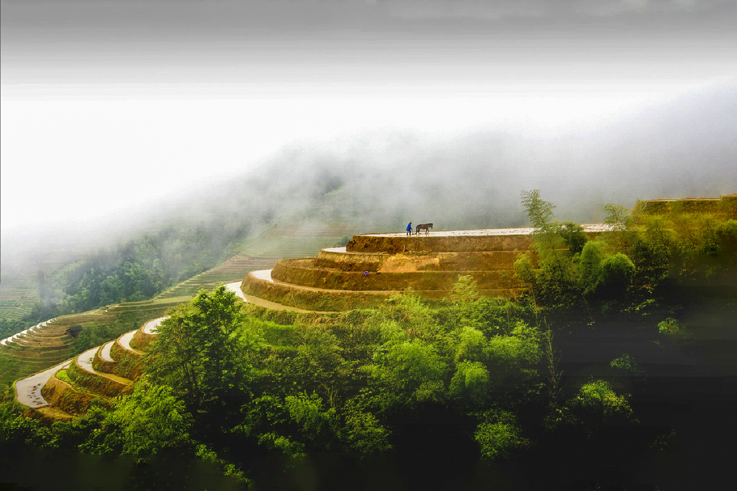 PHOTO BY  | CanonCanon  |  | ISO- |  |  |  | EV=0 | ● WIDTH:  HEIGHT: