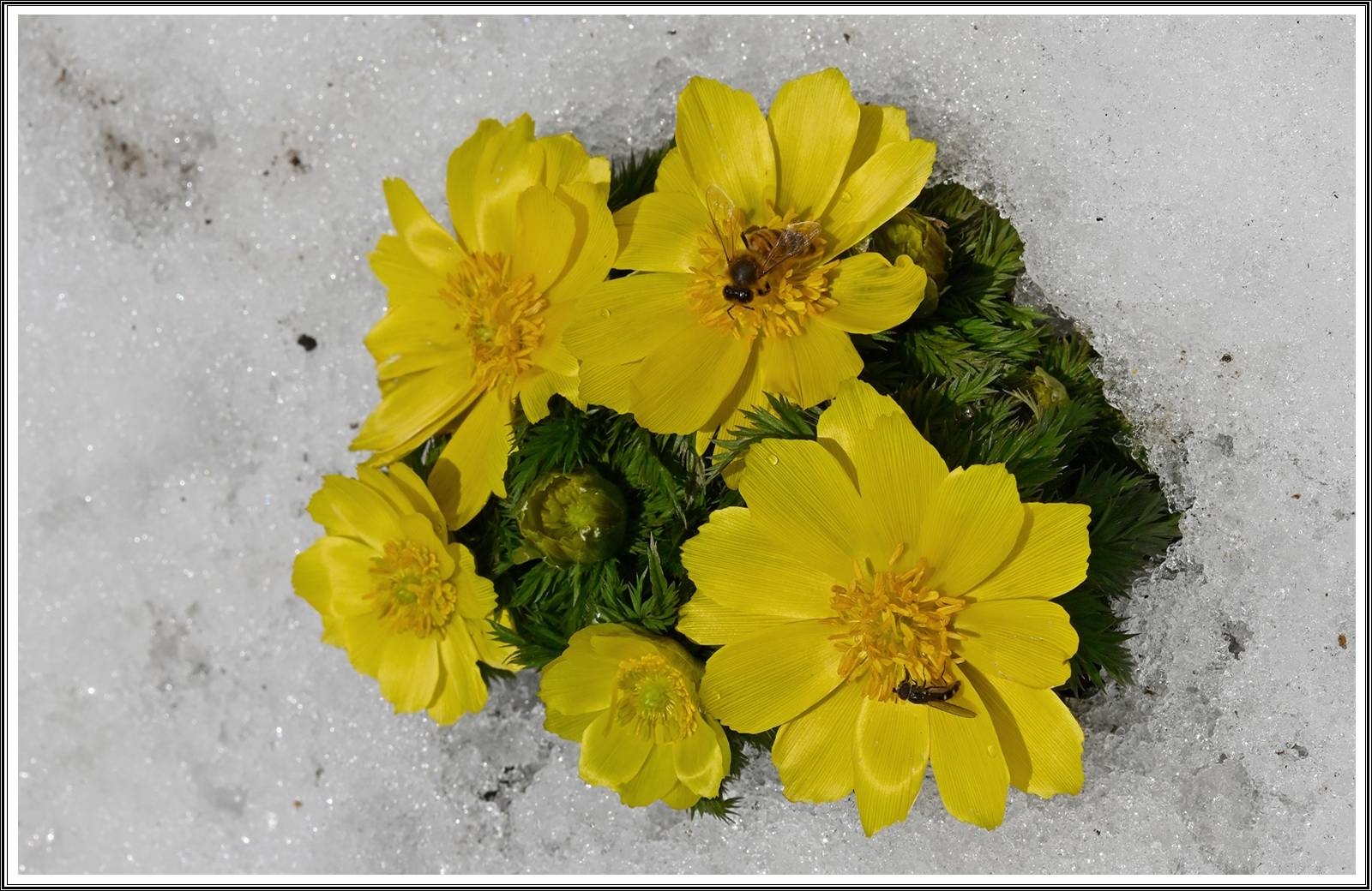 PHOTO BY  | NIKON Z 7_2 | 2024:03:16 00:00:26 | ISO-200 | 1/800 sec | f 14 | 60 mm | EV=0 | ● WIDTH:8256 pixels  HEIGHT:5504 pixels