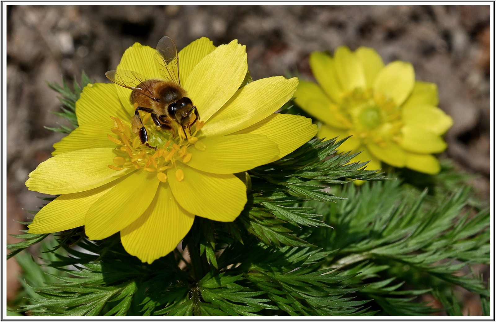 PHOTO BY  | NIKON Z 7_2 | 2024:03:15 23:58:42 | ISO-200 | 1/320 sec | f 14 | 60 mm | EV=0 | ● WIDTH:8256 pixels  HEIGHT:5504 pixels