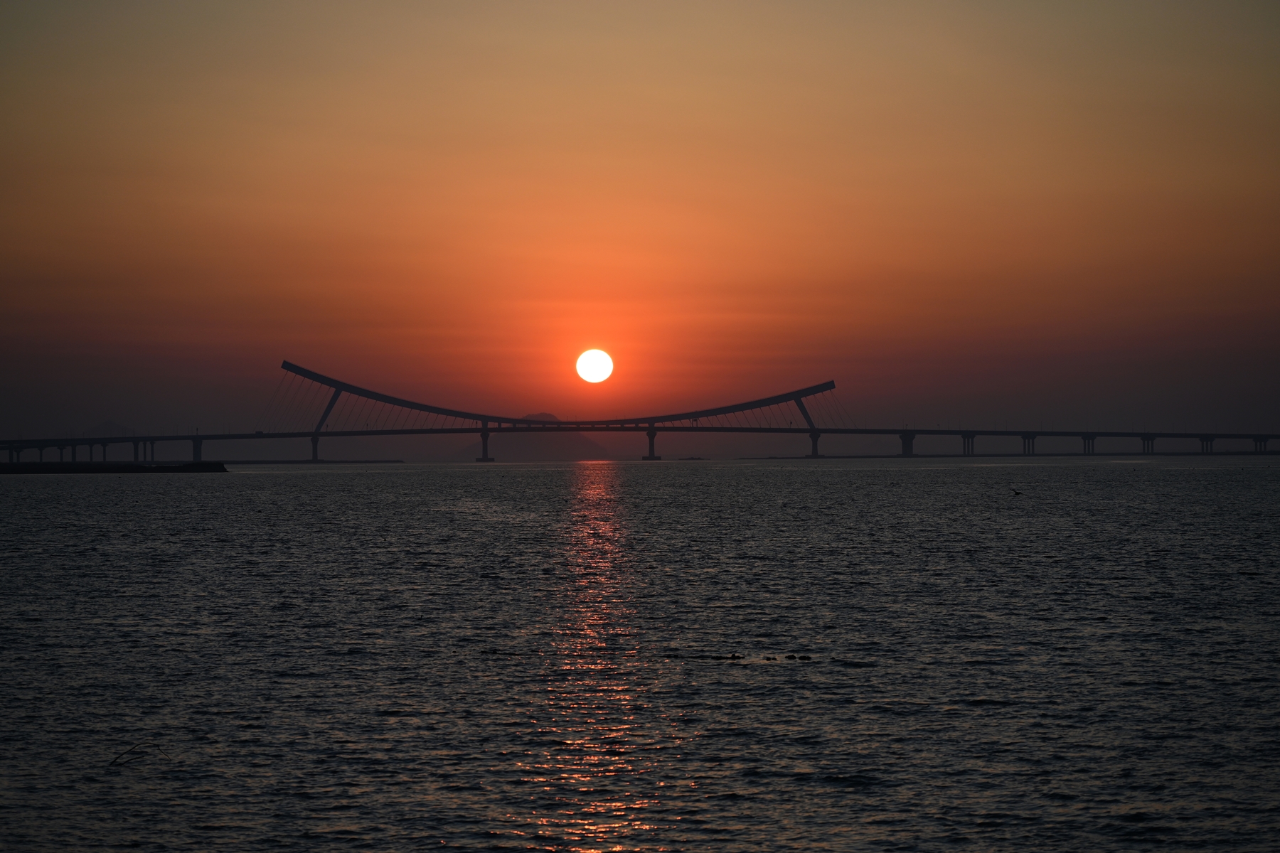 PHOTO BY  | NIKON Z 7_2 | 2024:03:14 18:31:34 | ISO-160 | 1/2000 sec | f 4 | 100 mm | EV=0 | ● WIDTH:8256 pixels  HEIGHT:5504 pixels