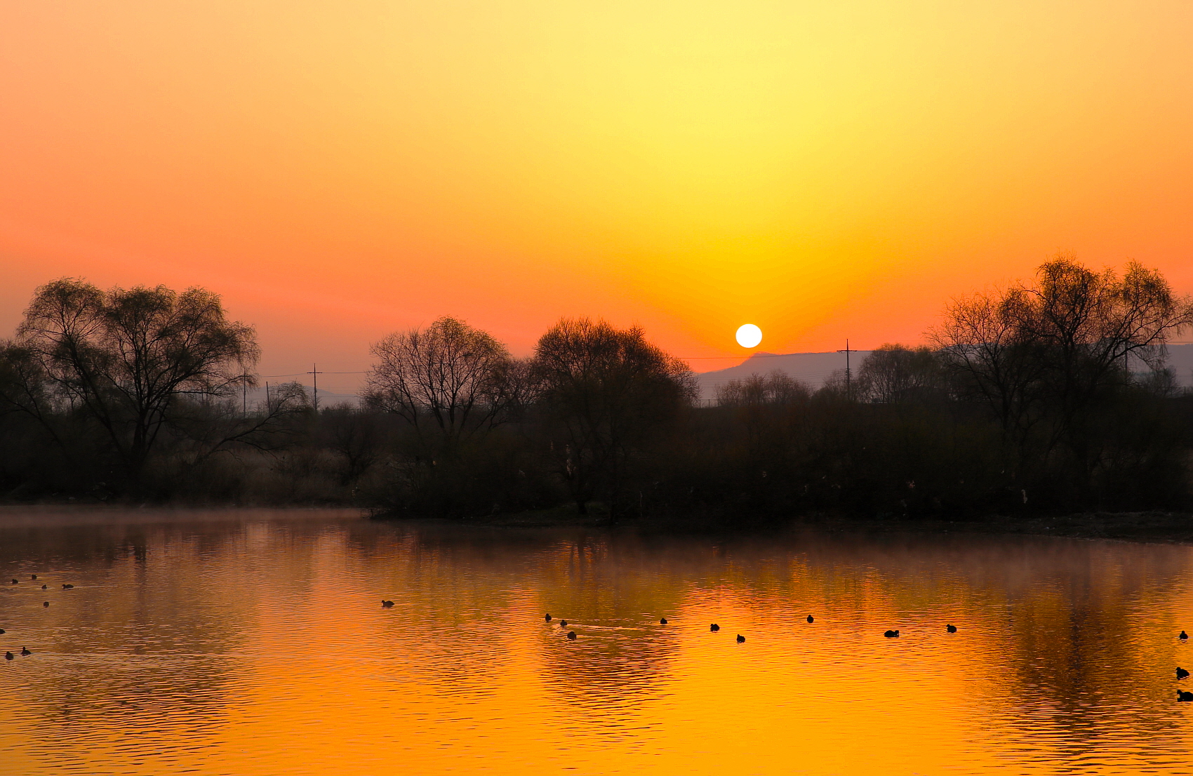 PHOTO BY  | Canon EOS 5D Mark III | 2024:03:16 06:30:27 | ISO-100 |  |  |  | EV=0 | ● WIDTH:1700 pixels  HEIGHT:1106 pixels