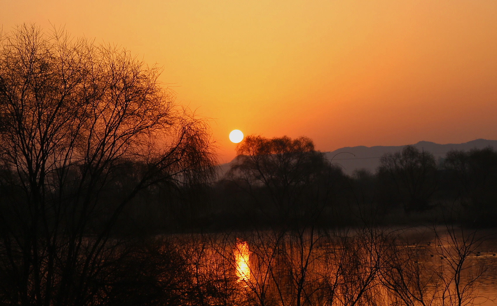 PHOTO BY  | Canon EOS 5D Mark III | 2024:03:16 06:32:31 | ISO-100 | 1/250 sec | f 6.3 | 57 mm | EV=0 | ● WIDTH:1700 pixels  HEIGHT:1046 pixels