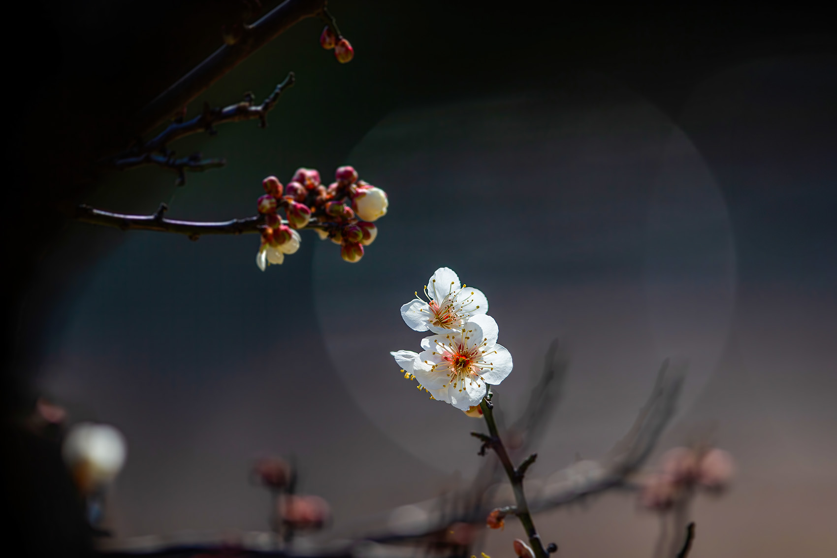   | PHOTO BY : 발전 박용식  |