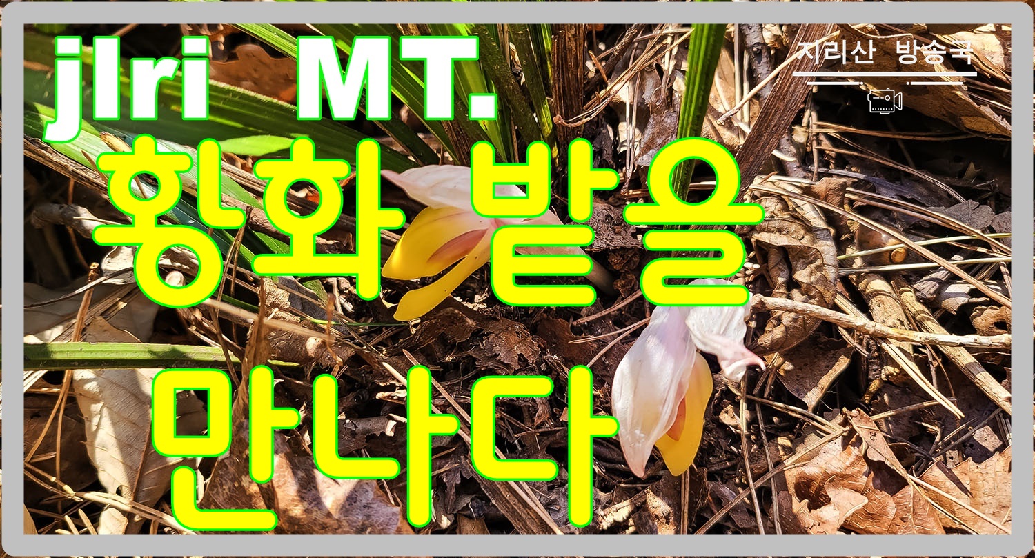 PHOTO BY  | SM-N981N | 2024:03:10 13:50:28 | ISO-40 | 1/120 sec | f 1.8 | 5.4 mm | EV=0 | ● WIDTH:1500 pixels  HEIGHT:809 pixels