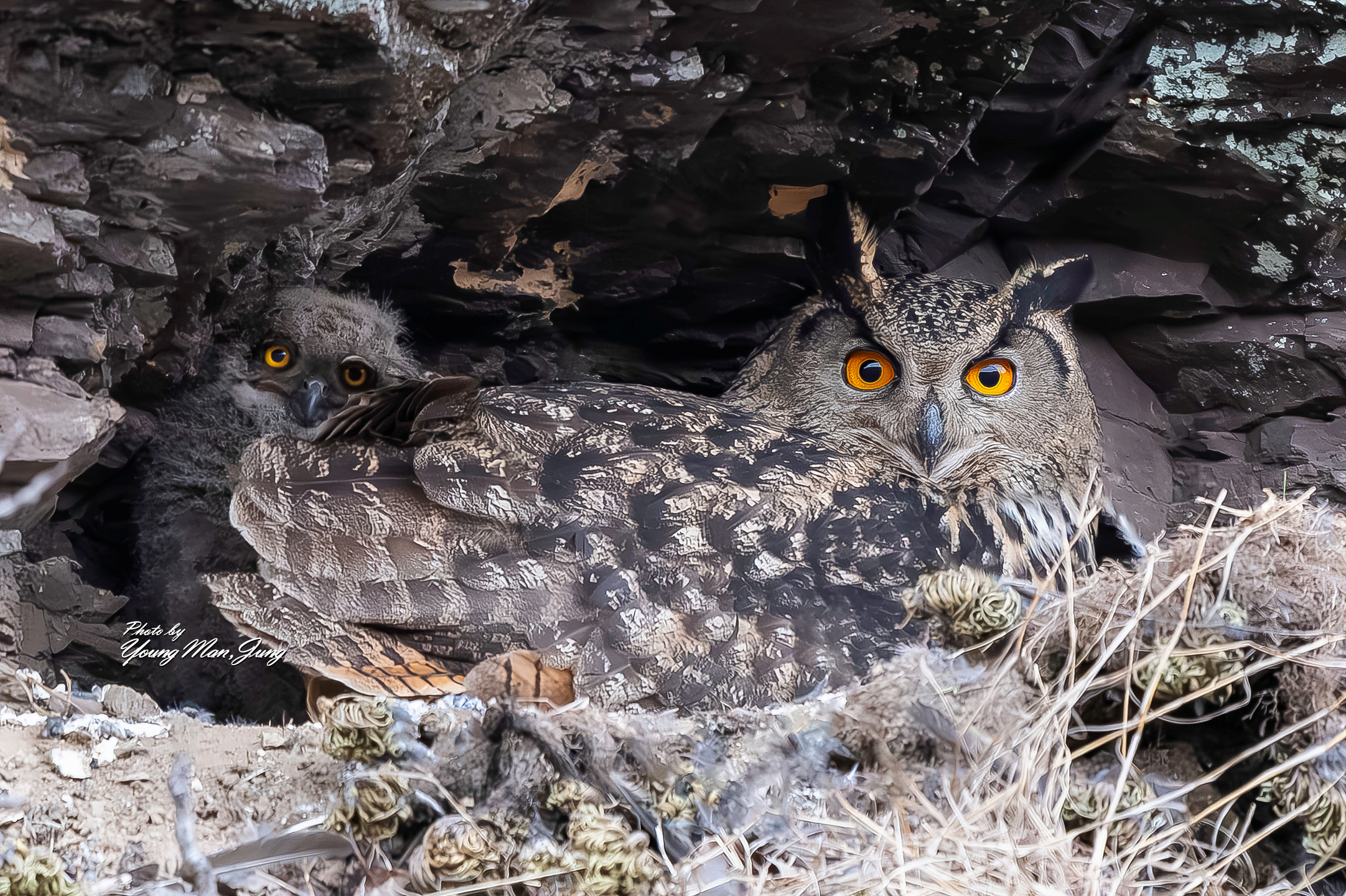 | PHOTO BY : 카파/정영만  |