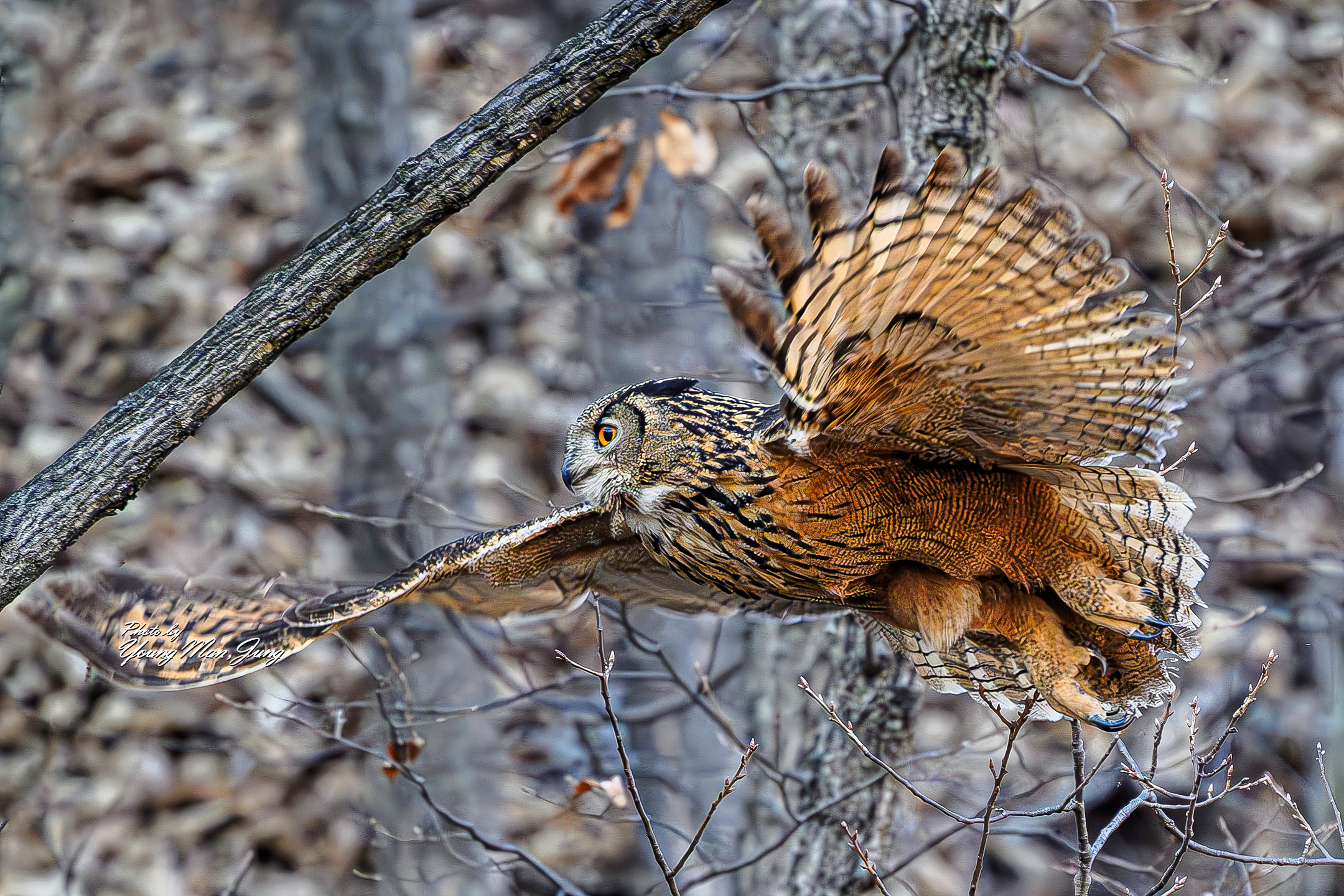 | PHOTO BY : 카파/정영만  |