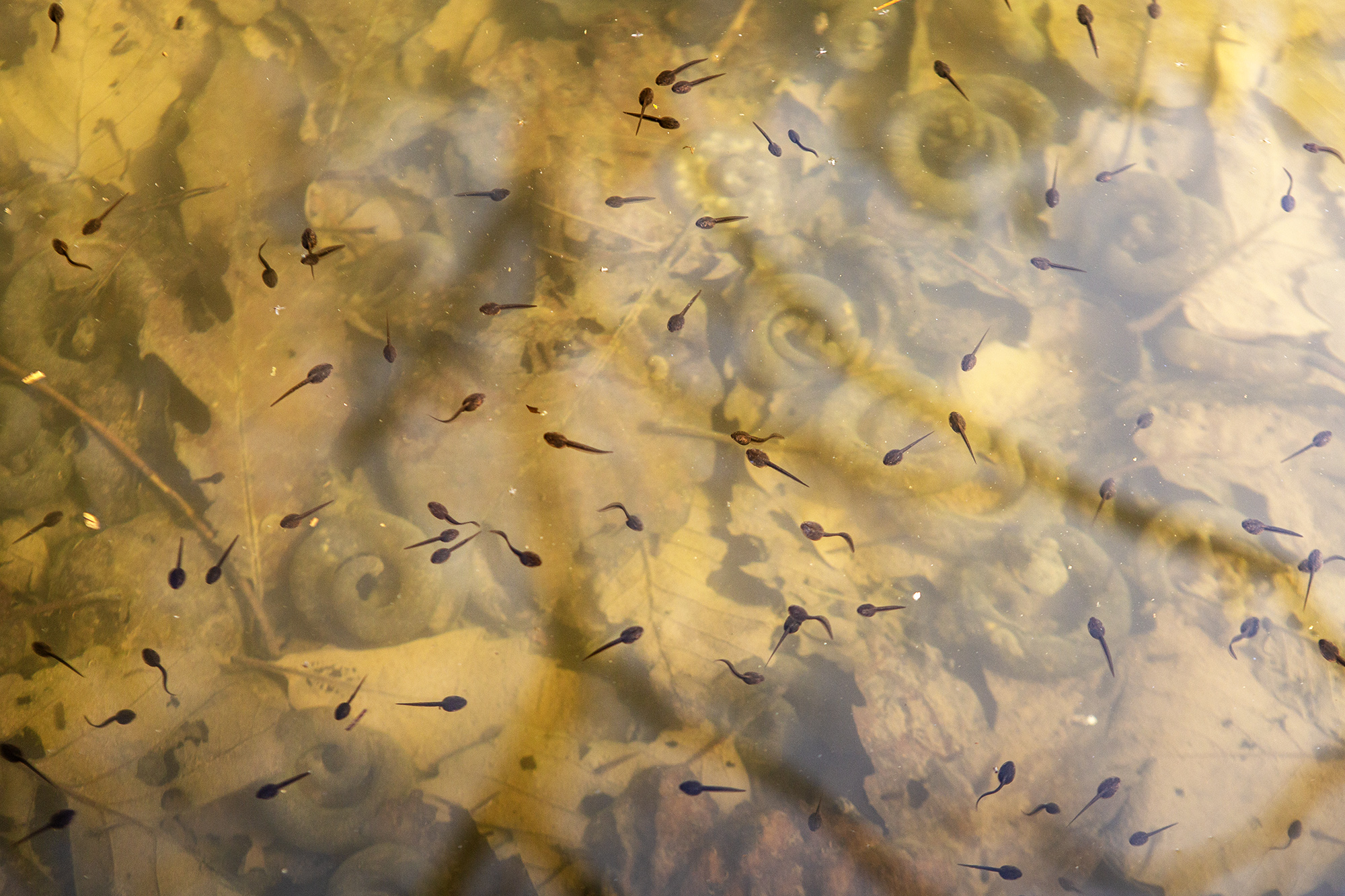 PHOTO BY  | Canon EOS 5D Mark III | 2024:03:16 15:15:08 | ISO-400 | 1/100 sec | f 5 | 68 mm | EV=-0.3 | ● WIDTH:2000 pixels  HEIGHT:1333 pixels