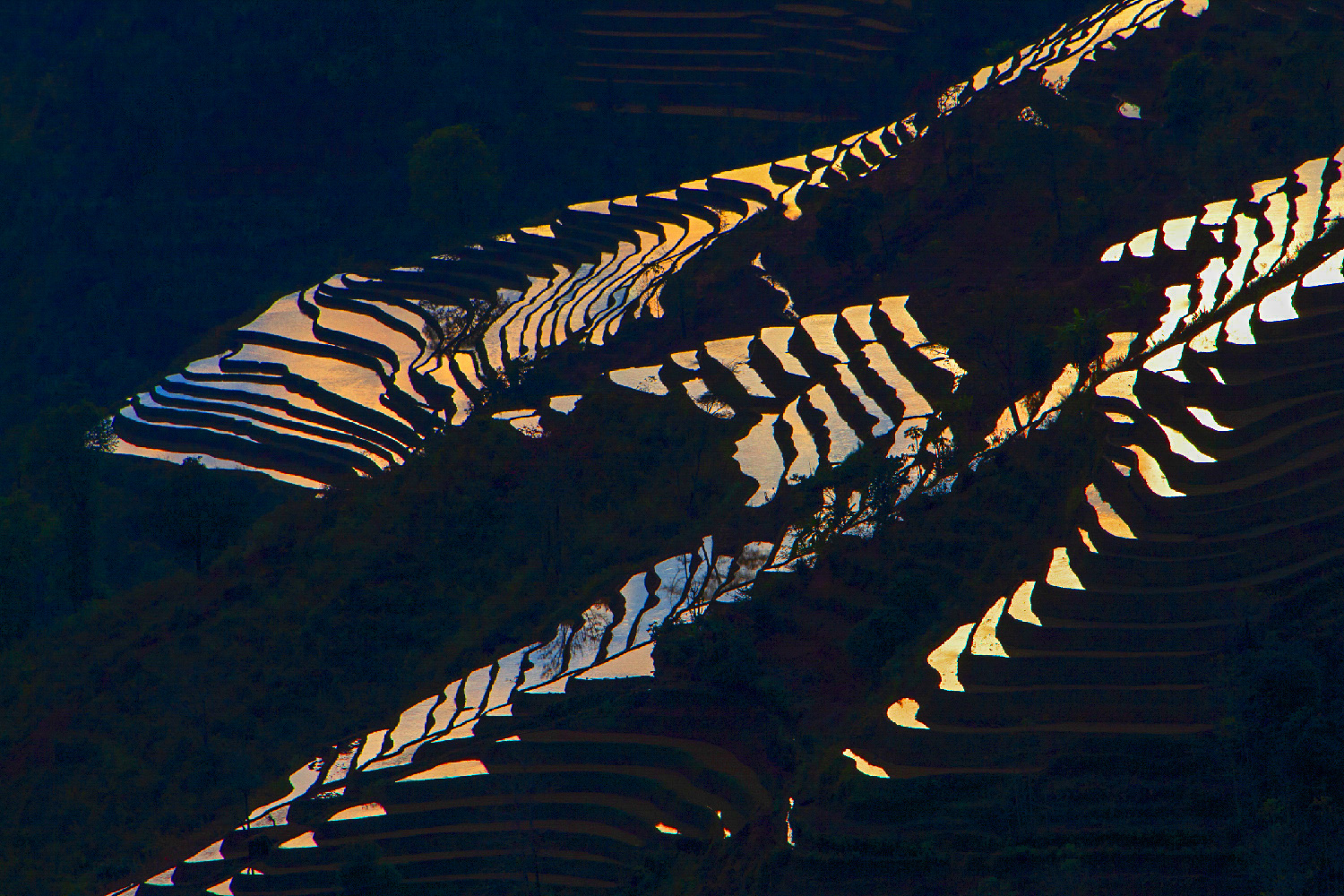 PHOTO BY  | CanonCanon  |  | ISO- |  |  |  | EV=0 | ● WIDTH:  HEIGHT: