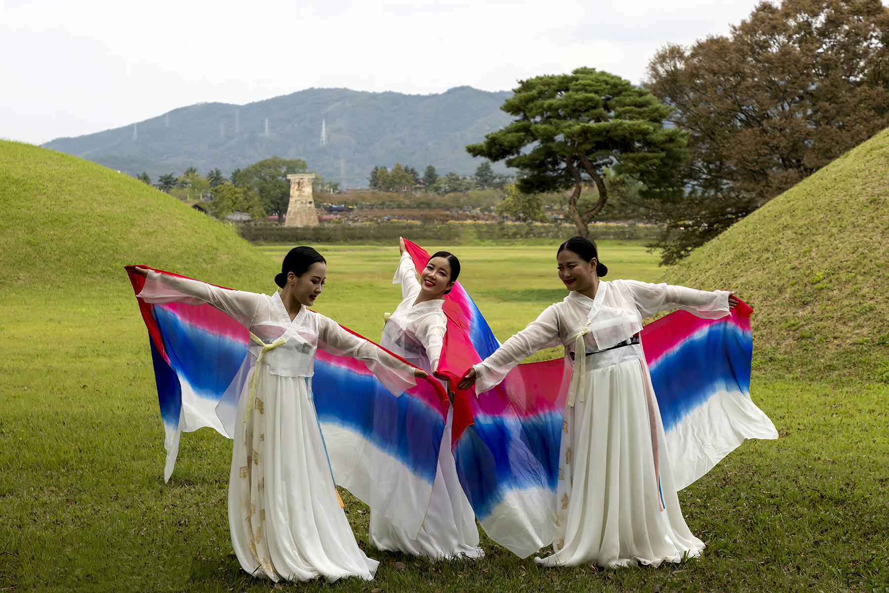 PHOTO BY HNalim | Canon EOS 7D Mark II | 2024:03:16 16:10:29 | ISO-1000 | 1/4000 sec | f 8 | 340 mm | EV=0 | ● WIDTH:1800 pixels  HEIGHT:1200 pixels