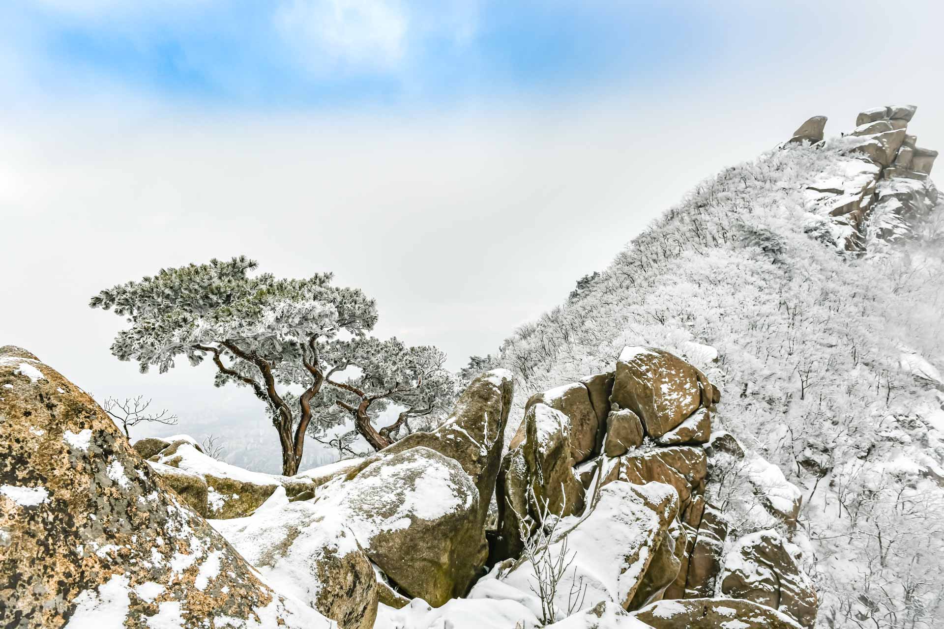 PHOTO BY Jae Ik Lee | NIKON D850 | 2024:02:07 09:43:34 | ISO-200 | 1/100 sec | f 5.6 | 24 mm | EV=0.7 | ● WIDTH:  HEIGHT: