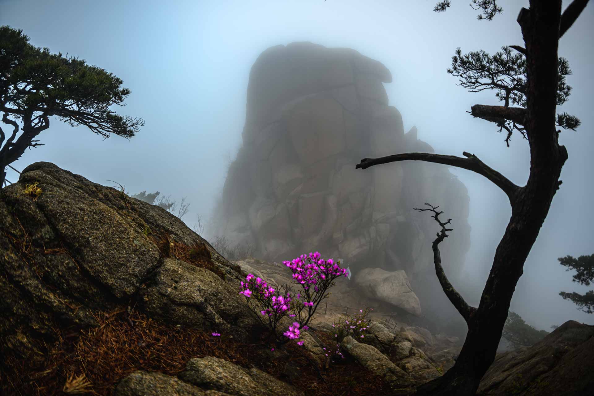   | PHOTO BY : 행월/이재익  |