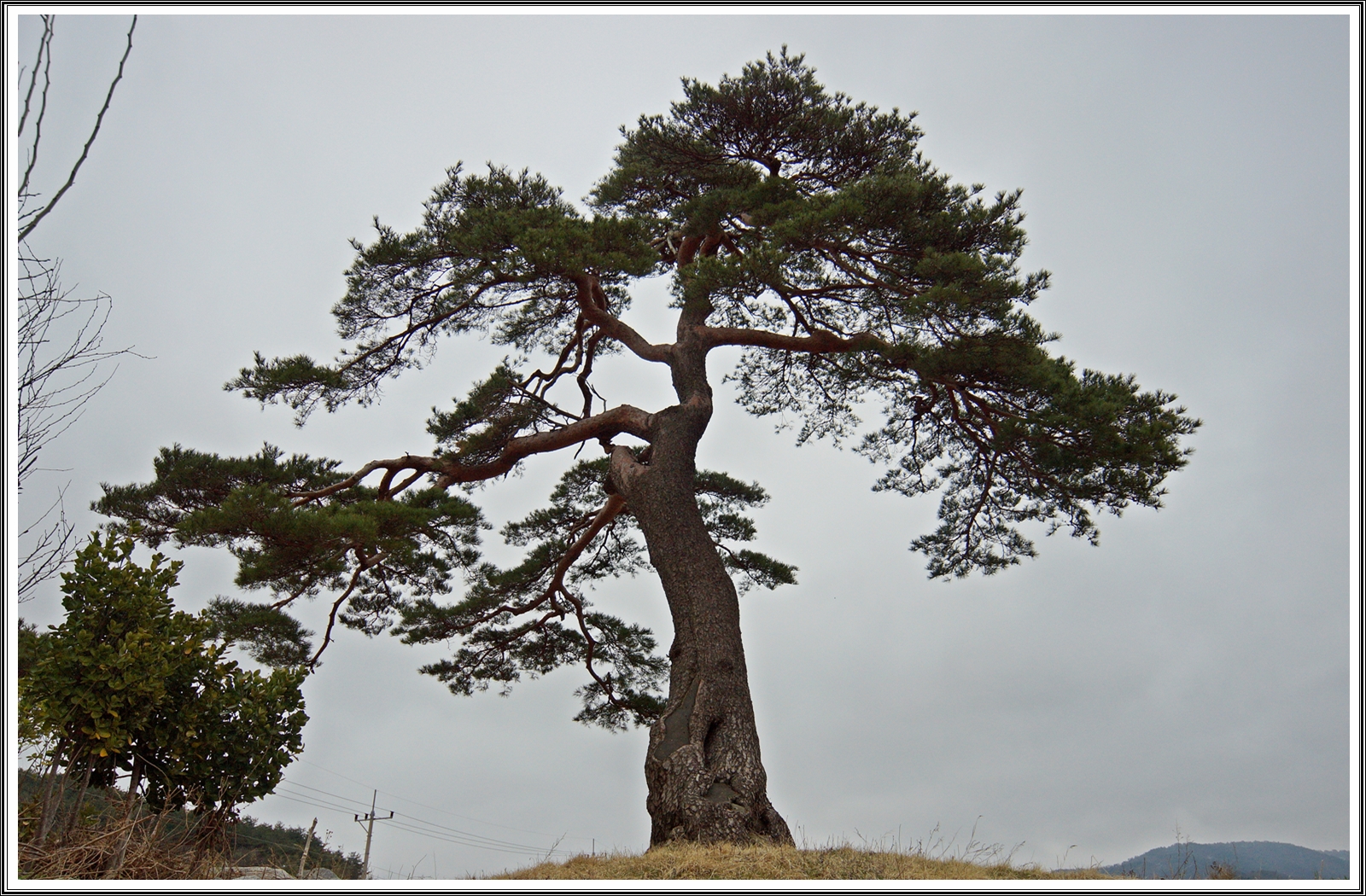 PHOTO BY  | SLT-A77V | 2024:03:23 11:55:38 | ISO-320 | 1/2500 sec | f 5.6 | 16 mm | EV=0.3 | ● WIDTH:6000 pixels  HEIGHT:4000 pixels