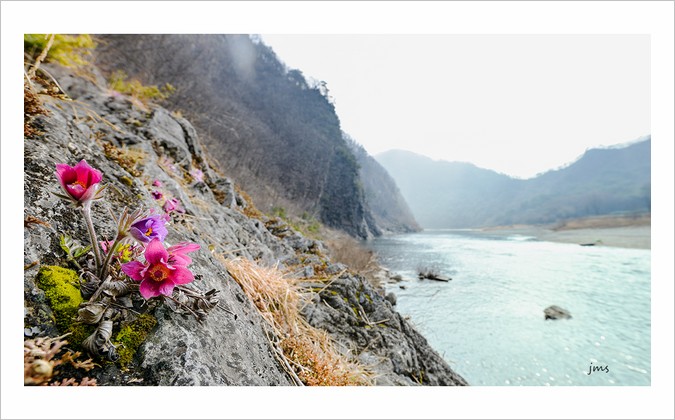 PHOTO BY JUN_MYOUNG_SUK | NIKON D850 | 2024:03:23 10:24:18 | ISO-200 | 1/200 sec | f 8 | 17 mm | EV=-1.3 | ● WIDTH:1200 pixels  HEIGHT:766 pixels