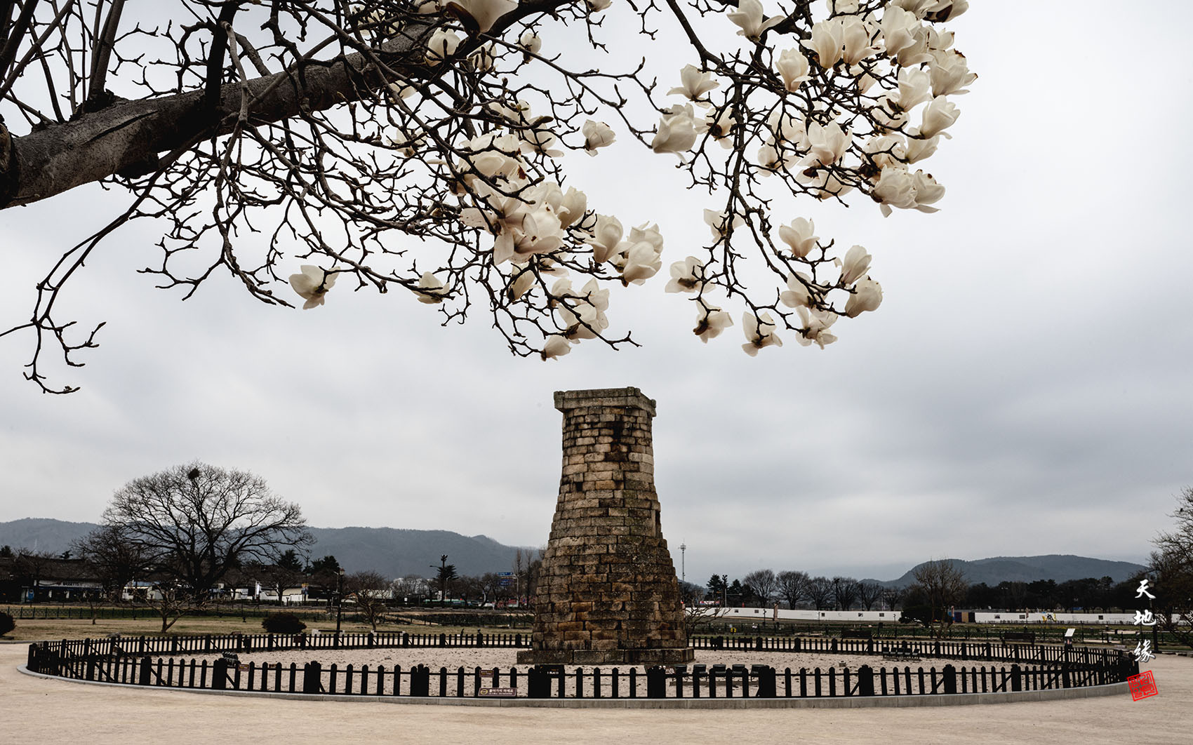 PHOTO BY KKY_CWANG_YEOL | NIKON Z 8 | 2024:03:24 06:49:12 | ISO-100 | 30/1 sec | f 20 | 34 mm | EV=0 | ● WIDTH:1700 pixels  HEIGHT:1062 pixels