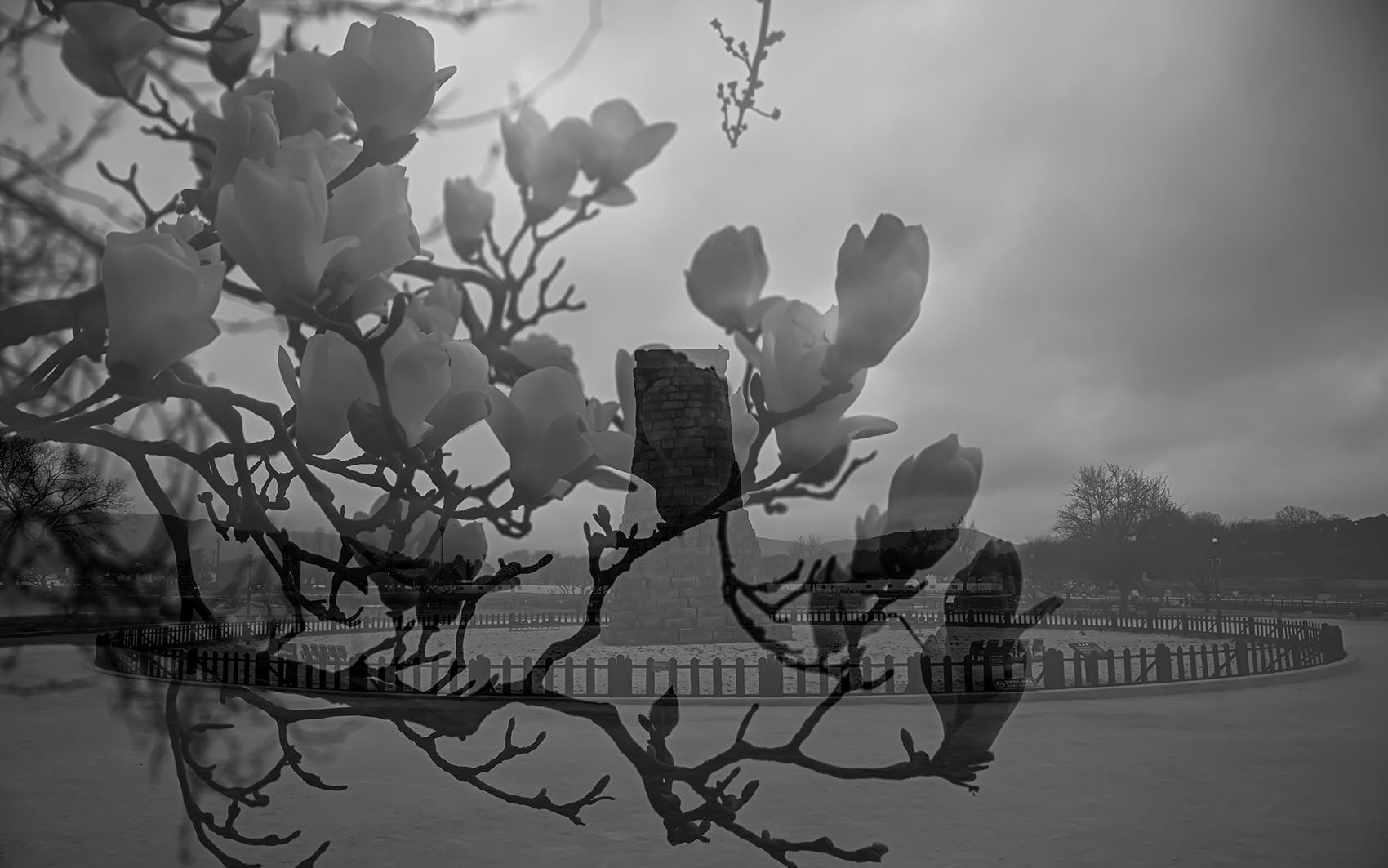 PHOTO BY KKY_CWANG_YEOL | NIKON Z 8 | 2024:03:24 07:20:25 | ISO-80 | 1/100 sec | f 5.6 | 70 mm | EV=0 | ● WIDTH:1700 pixels  HEIGHT:1063 pixels