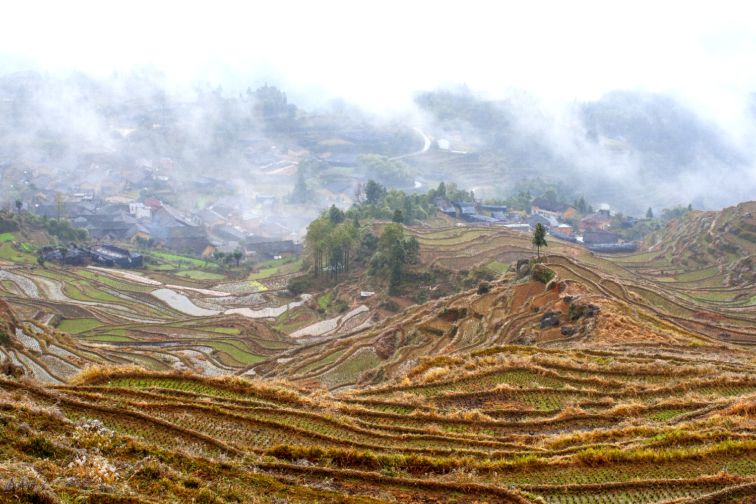 PHOTO BY  | CanonCanon  |  | ISO- |  |  |  | EV=0 | ● WIDTH:  HEIGHT: