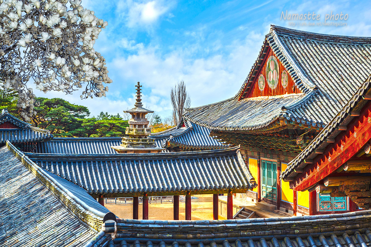   | PHOTO BY : 나마스떼/이필구  |