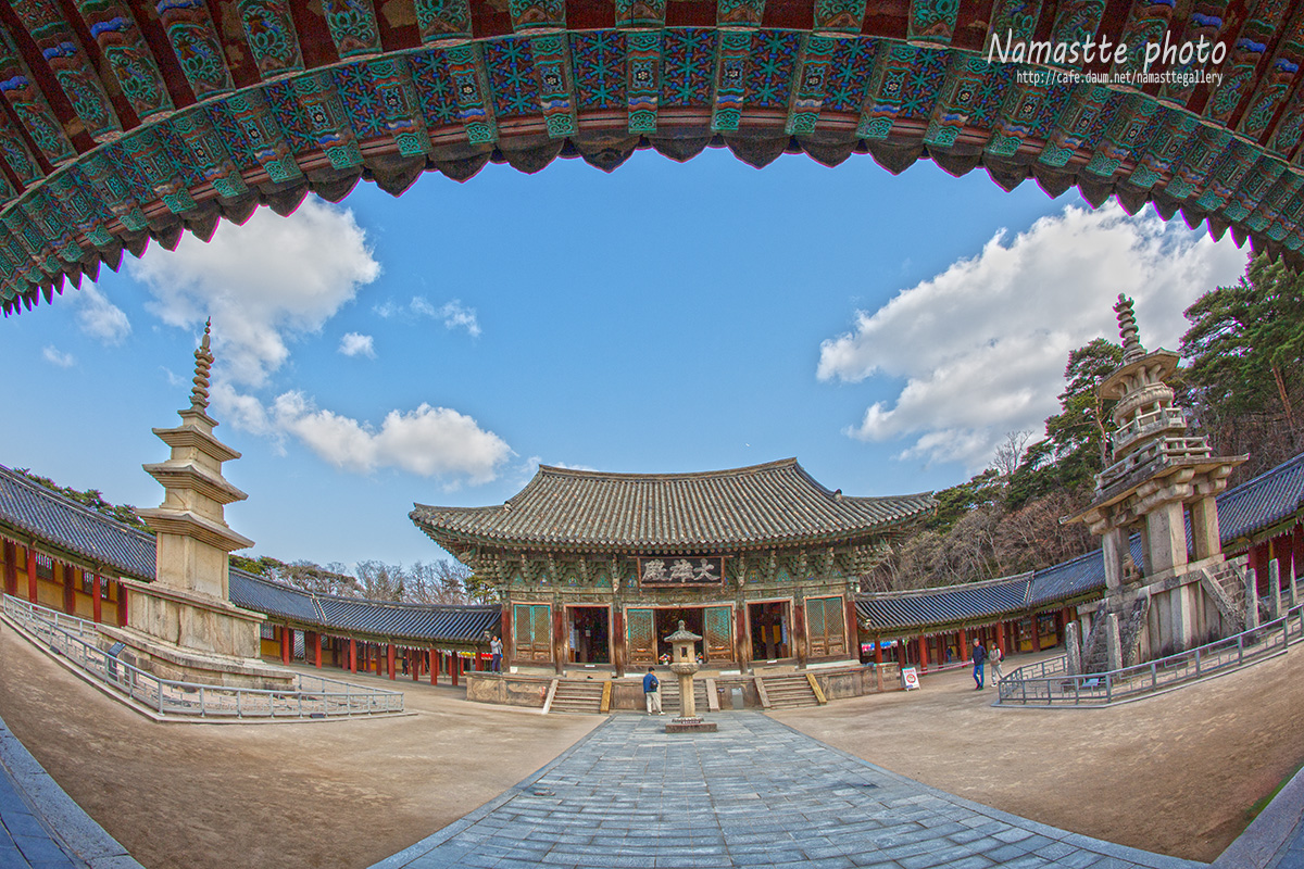 PHOTO BY  | Canon EOS 5D Mark III | 2024:03:18 09:14:27 | ISO-200 | 1/400 sec | f 10 | 15 mm | EV=0 | ● WIDTH:1200 pixels  HEIGHT:800 pixels