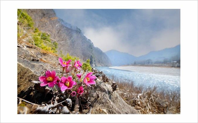 PHOTO BY JUN_MYOUNG_SUK | NIKON D850 | 2024:03:23 11:12:50 | ISO-200 | 1/250 sec | f 8 | 14 mm | EV=-1.3 | ● WIDTH:1200 pixels  HEIGHT:863 pixels