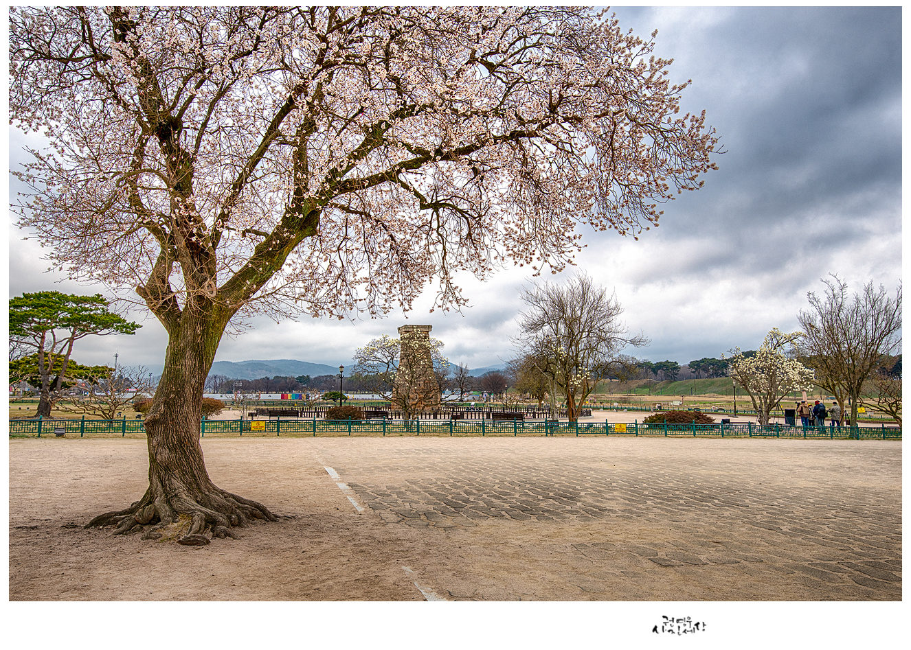 PHOTO BY Kwon Young Woo | NIKON D850 | 2024:03:24 06:52:34 | ISO-100 | 1/20 sec | f 8 | 30 mm | EV=-0.3 | ● WIDTH:1326 pixels  HEIGHT:947 pixels
