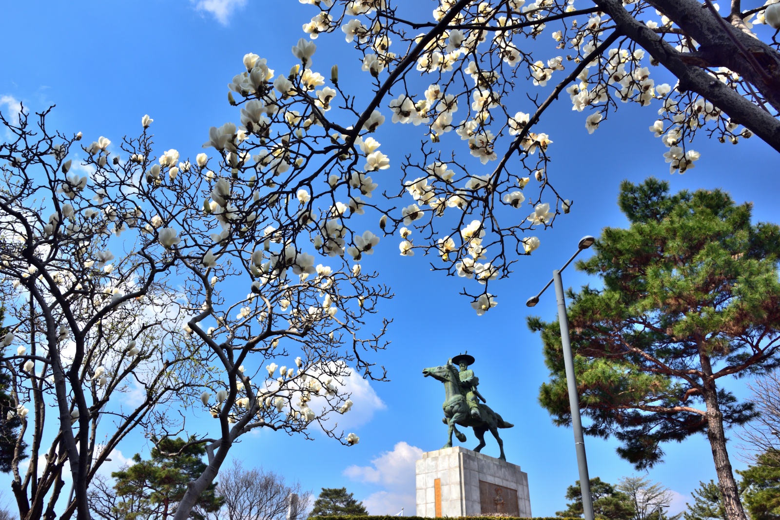 PHOTO BY  | NIKON D810 | 2024:03:20 11:29:16 | ISO-400 | 1/125 sec | f 14 | 28 mm | EV=0 | ● WIDTH:1600 pixels  HEIGHT:1067 pixels