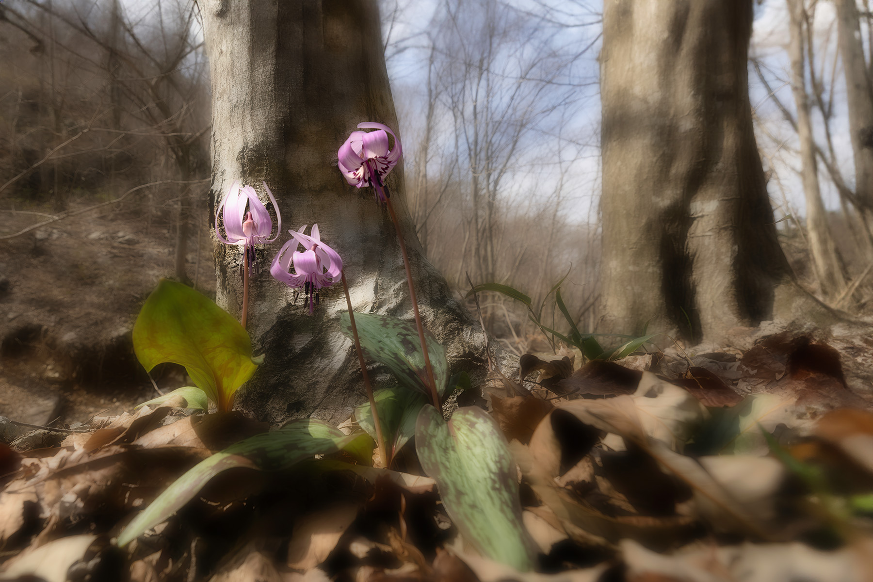   | PHOTO BY : 발전 박용식  |