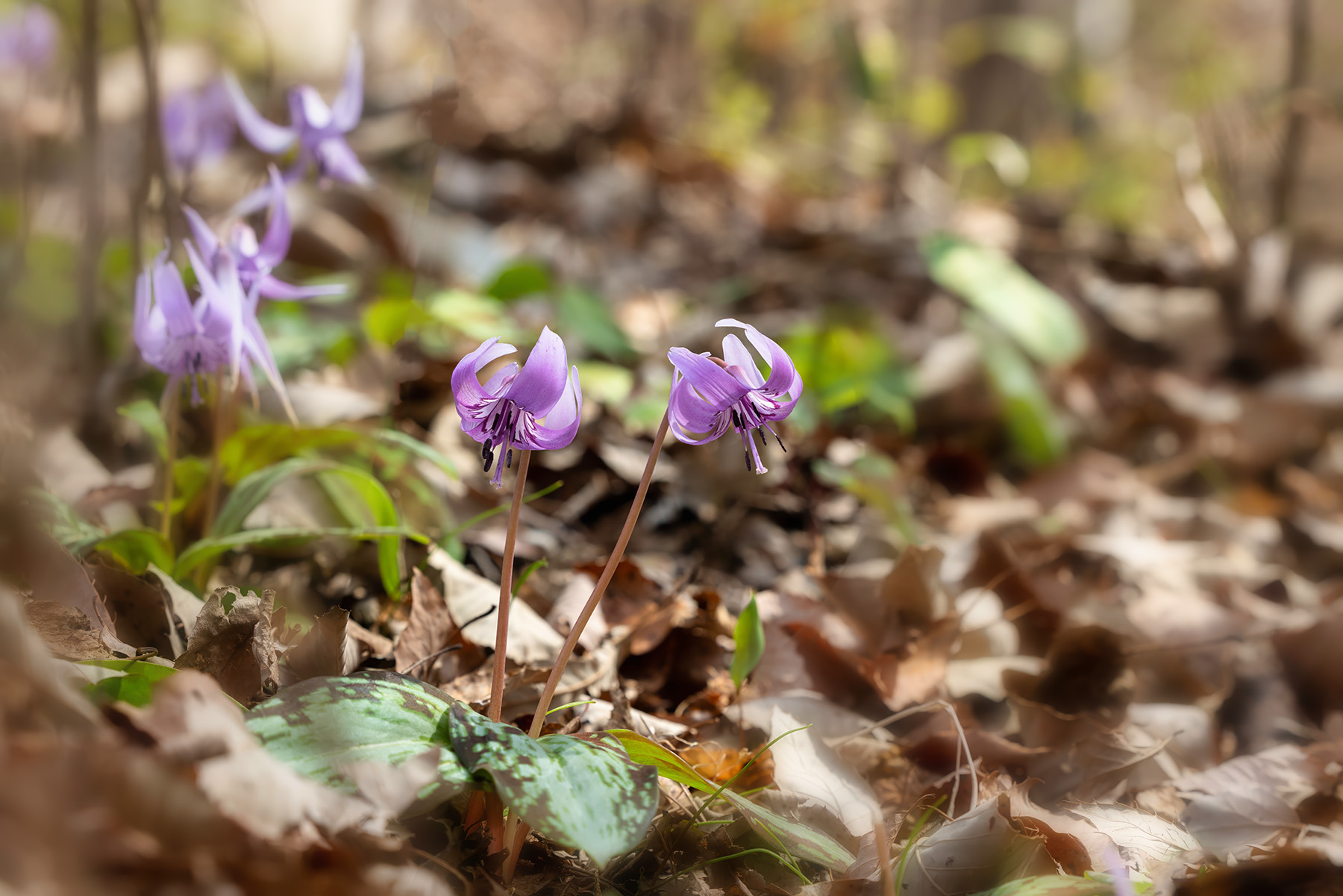   | PHOTO BY : 발전 박용식  |