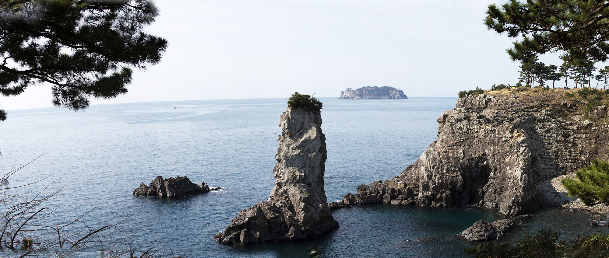 PHOTO BY  | Canon EOS 5D Mark III | 2024:03:14 10:08:33 | ISO-400 | 1/500 sec | f 11 | 70 mm | EV=-0.3 | ● WIDTH:2000 pixels  HEIGHT:848 pixels