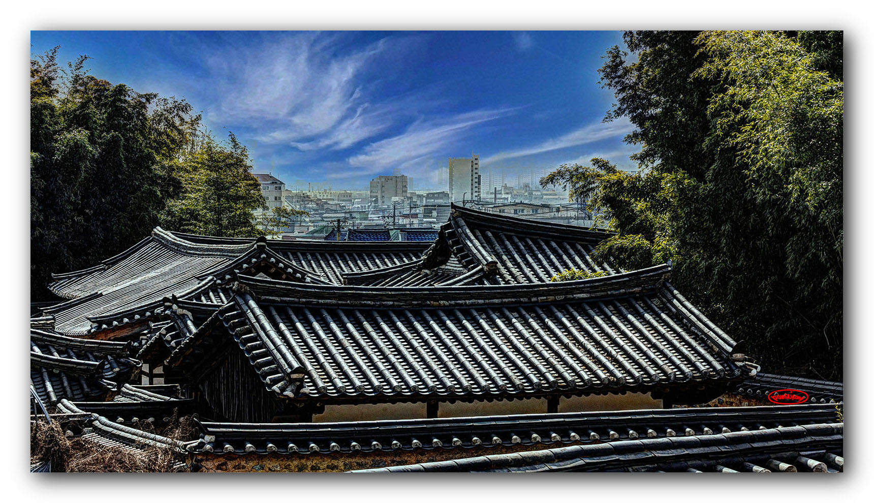 PHOTO BY jps | Canon EOS R6 | 2024:03:04 12:50:13 | ISO-320 | 1/320 sec | f 13 | 100 mm | EV=0 | ● WIDTH:1720 pixels  HEIGHT:990 pixels