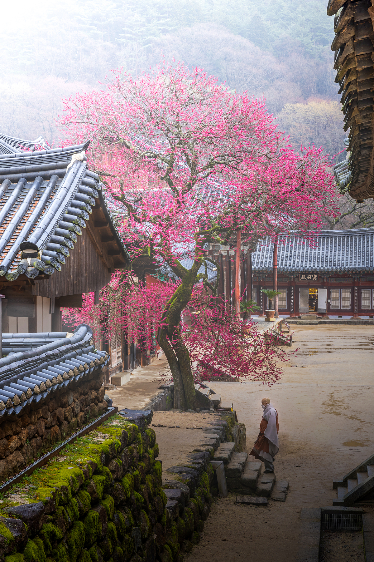 | PHOTO BY : 조현래  |