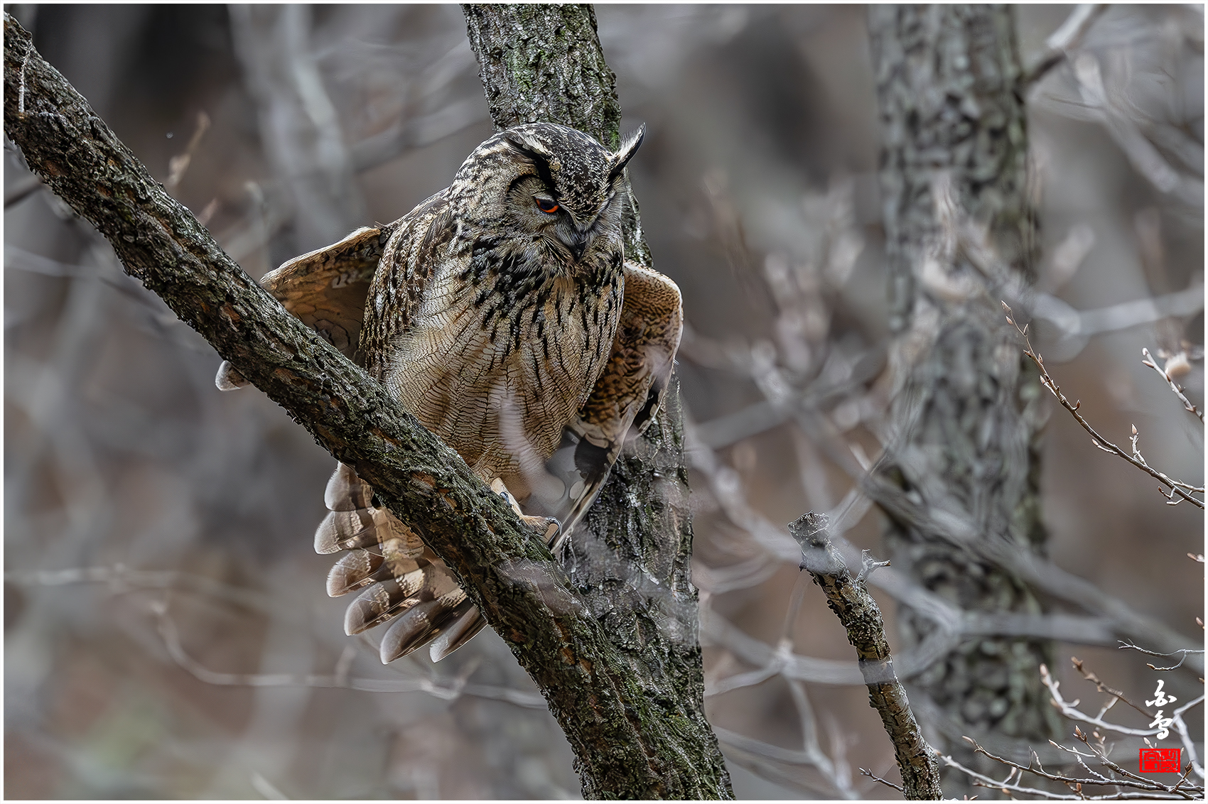 PHOTO BY  | NIKON Z 9 | 2024:03:26 16:42:15 | ISO-6400 | 1/2000 sec | f 4 | 600 mm | EV=-0.3 | ● WIDTH:1700 pixels  HEIGHT:1132 pixels