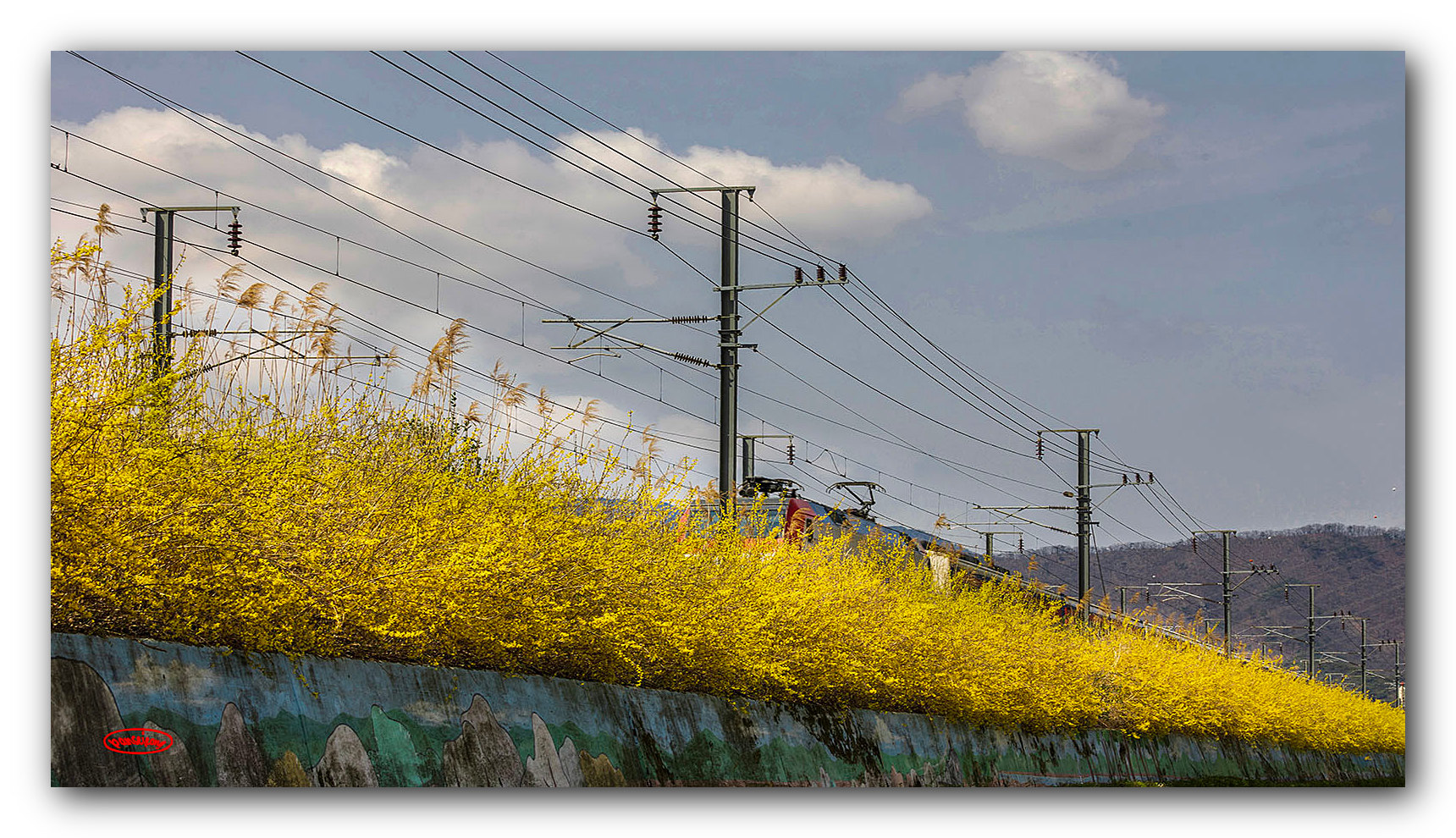 PHOTO BY jps | Canon EOS R6 | 2024:03:27 11:38:30 | ISO-100 | 1/250 sec | f 13 | 96 mm | EV=-0.3 | ● WIDTH:1720 pixels  HEIGHT:990 pixels