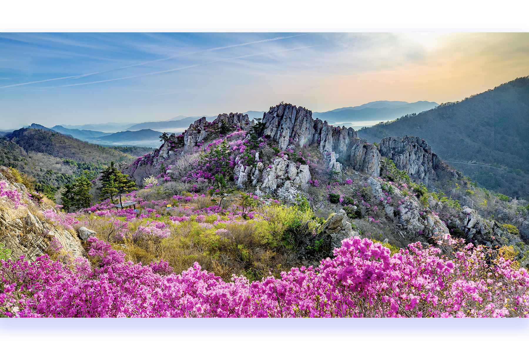 PHOTO BY :03:28 19:25:13photographer
PARK | CanonCanon |  | ISO- |  |  |  | EV=0 | ● WIDTH:  HEIGHT: