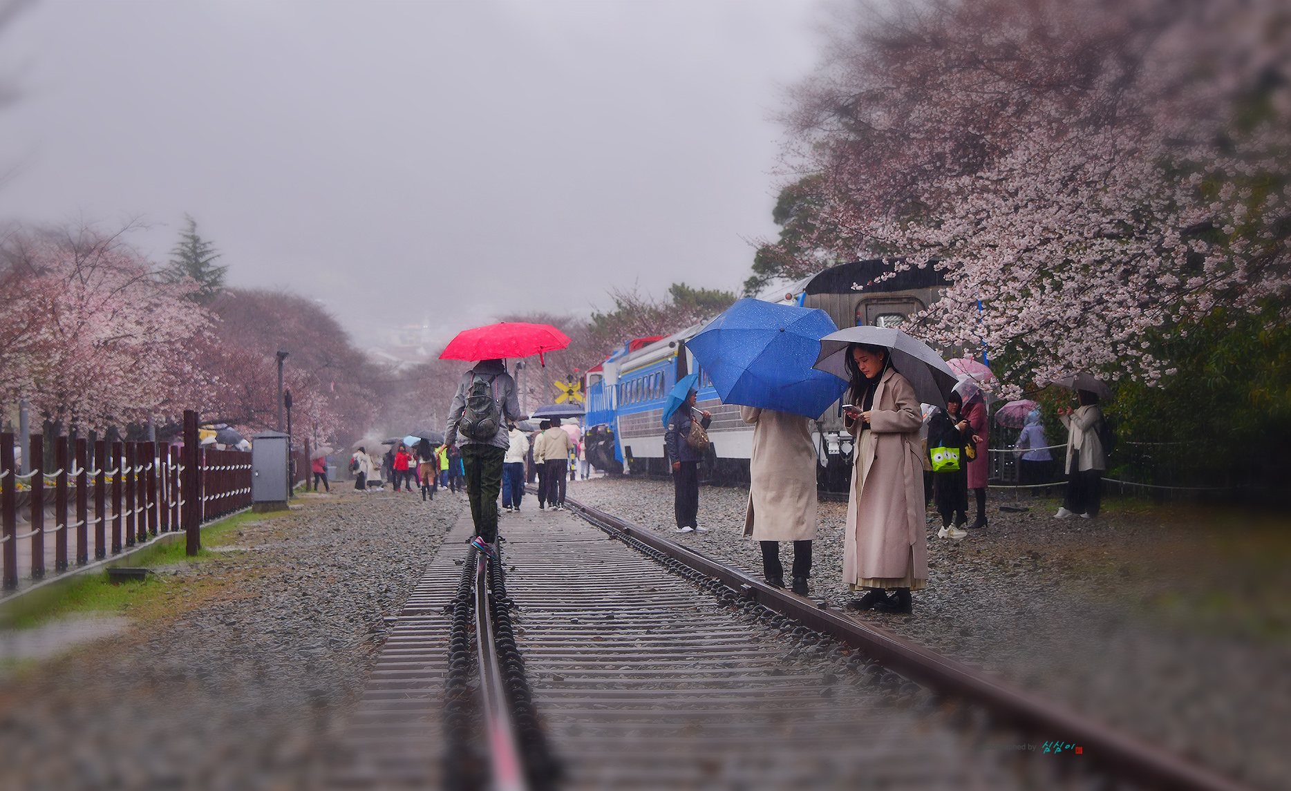 PHOTO BY MHS | NIKON D850 | 2024:03:28 14:50:15 | ISO-500 | 1/125 sec | f 8 | 92 mm | EV=0 | ● WIDTH:1868 pixels  HEIGHT:1145 pixels