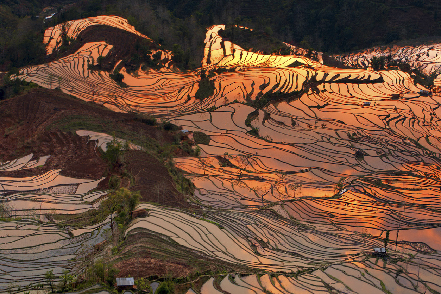 PHOTO BY  | CanonCanon  |  | ISO- |  |  |  | EV=0 | ● WIDTH:  HEIGHT: