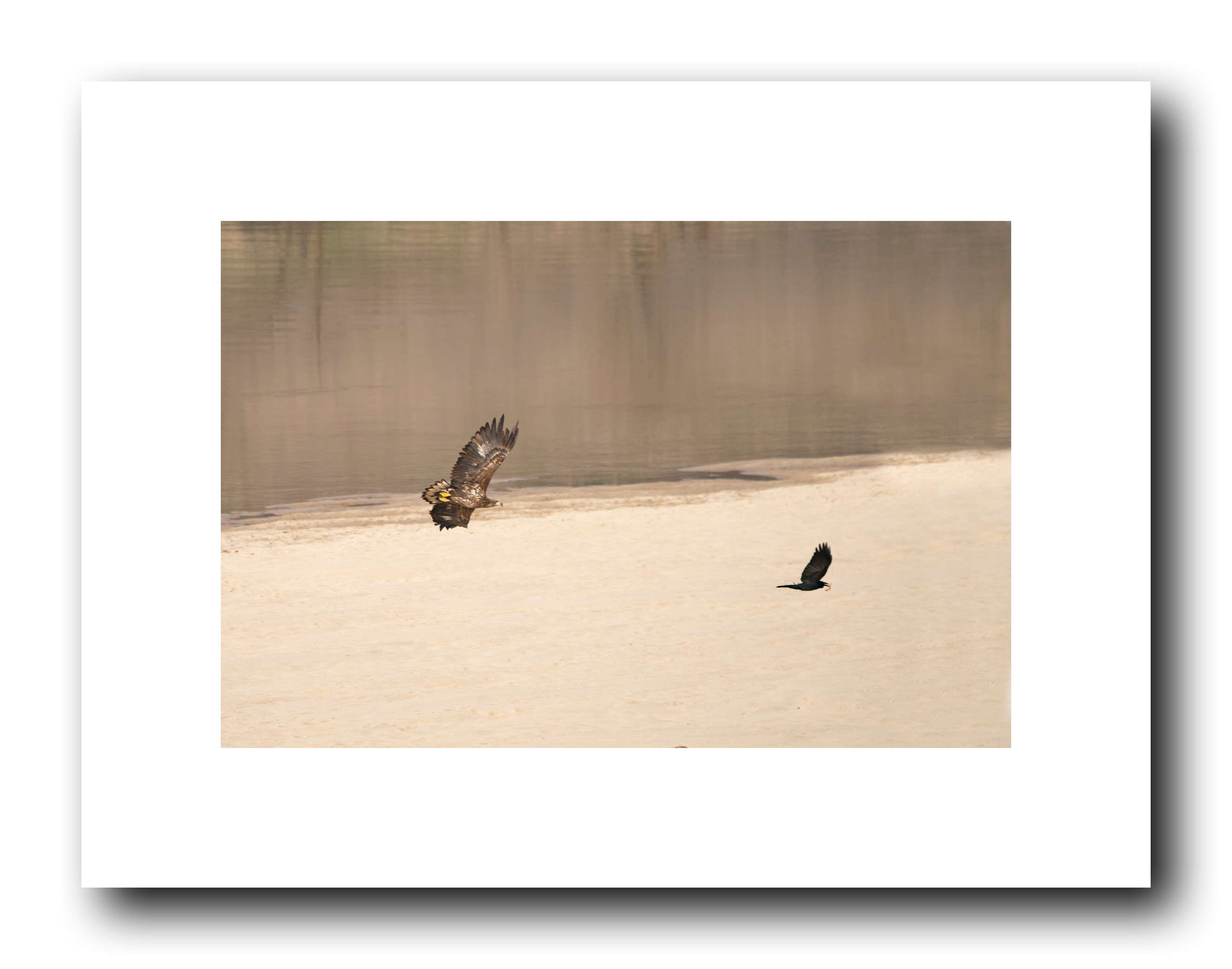 PHOTO BY Sil Sang Kim | ILCE-7RM4 | 2024:03:02 21:18:14 | ISO-100 | 1/1250 sec | f 6.3 | 400 mm | EV=0 | ● WIDTH:2650 pixels  HEIGHT:2083 pixels