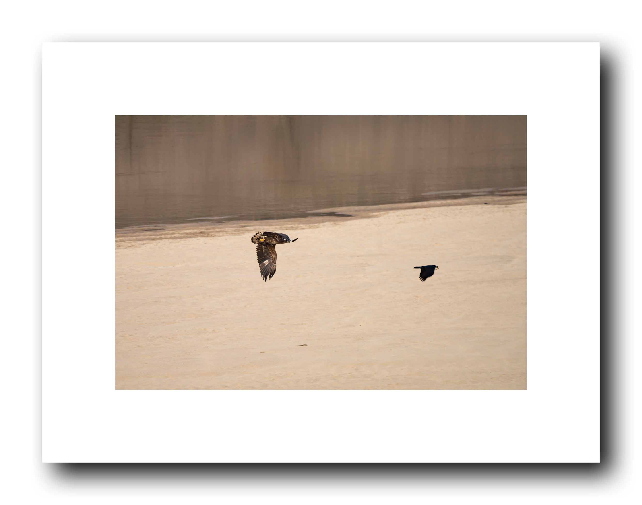 PHOTO BY Sil Sang Kim | ILCE-7RM4 | 2024:03:02 21:18:14 | ISO-100 | 1/1250 sec | f 6.3 | 400 mm | EV=0 | ● WIDTH:2650 pixels  HEIGHT:2083 pixels