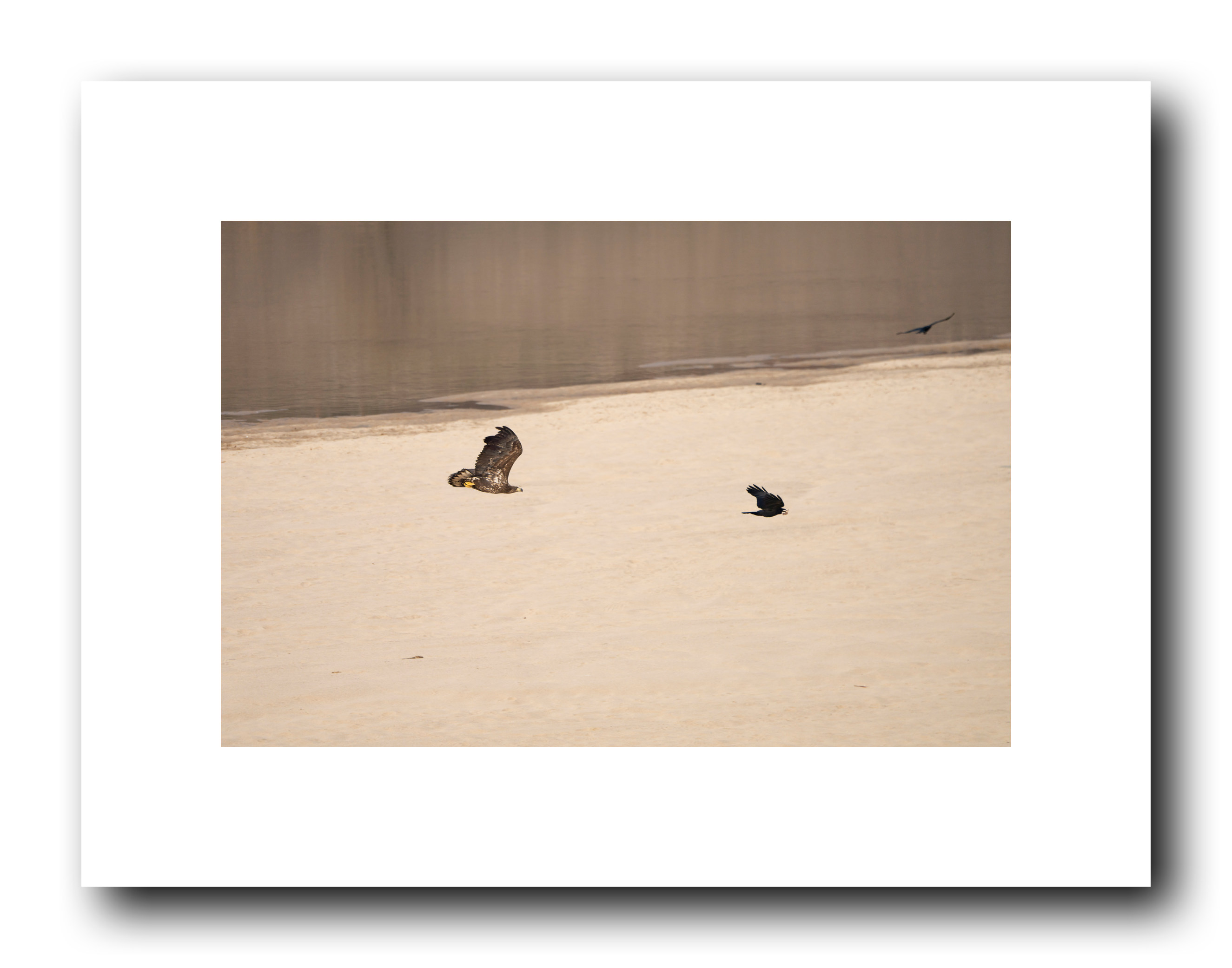 PHOTO BY Sil Sang Kim | ILCE-7RM4 | 2024:03:02 21:18:14 | ISO-100 | 1/1250 sec | f 6.3 | 400 mm | EV=0 | ● WIDTH:2650 pixels  HEIGHT:2083 pixels