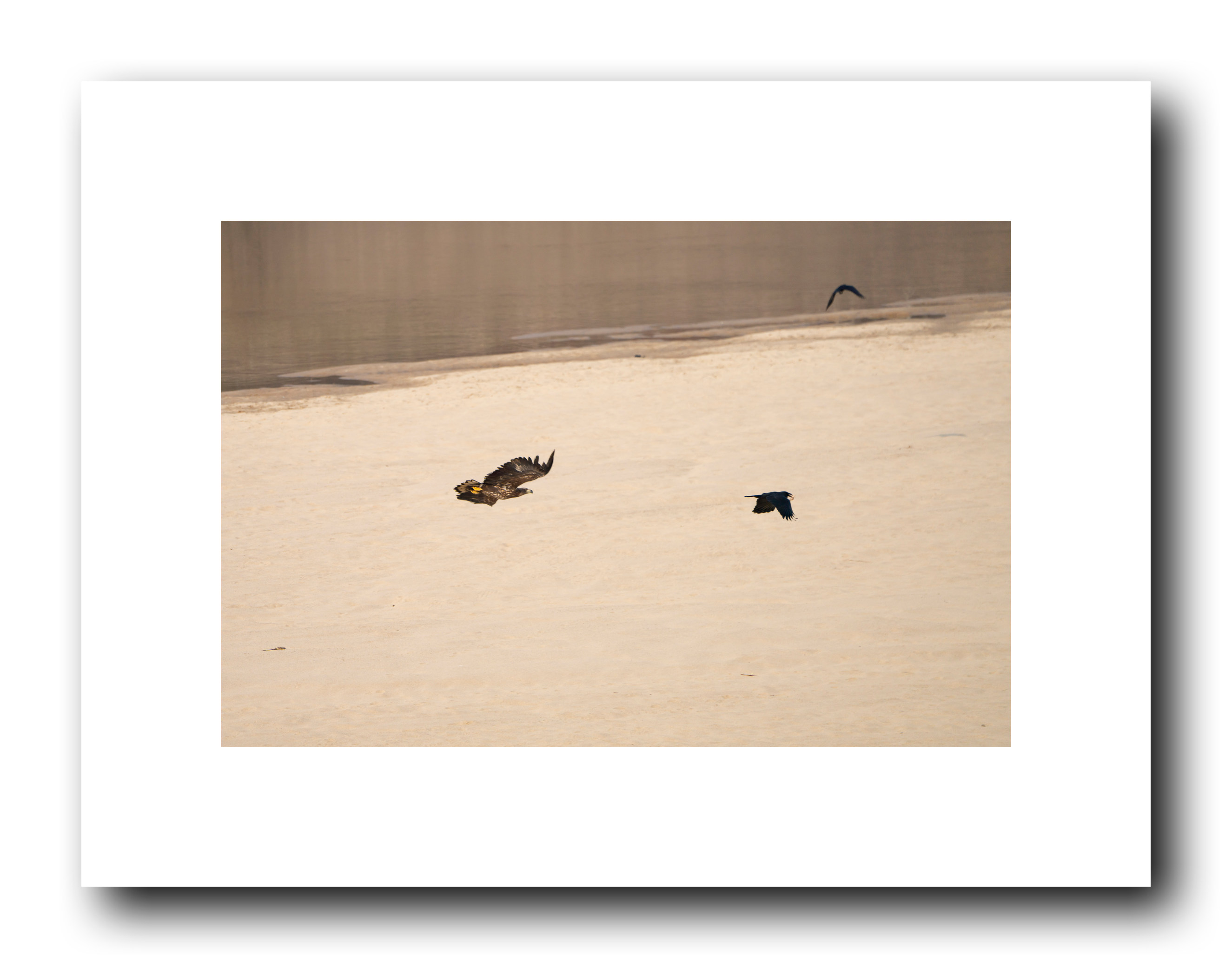 PHOTO BY Sil Sang Kim | ILCE-7RM4 | 2024:03:02 21:18:15 | ISO-100 | 1/1250 sec | f 6.3 | 400 mm | EV=0 | ● WIDTH:2650 pixels  HEIGHT:2083 pixels