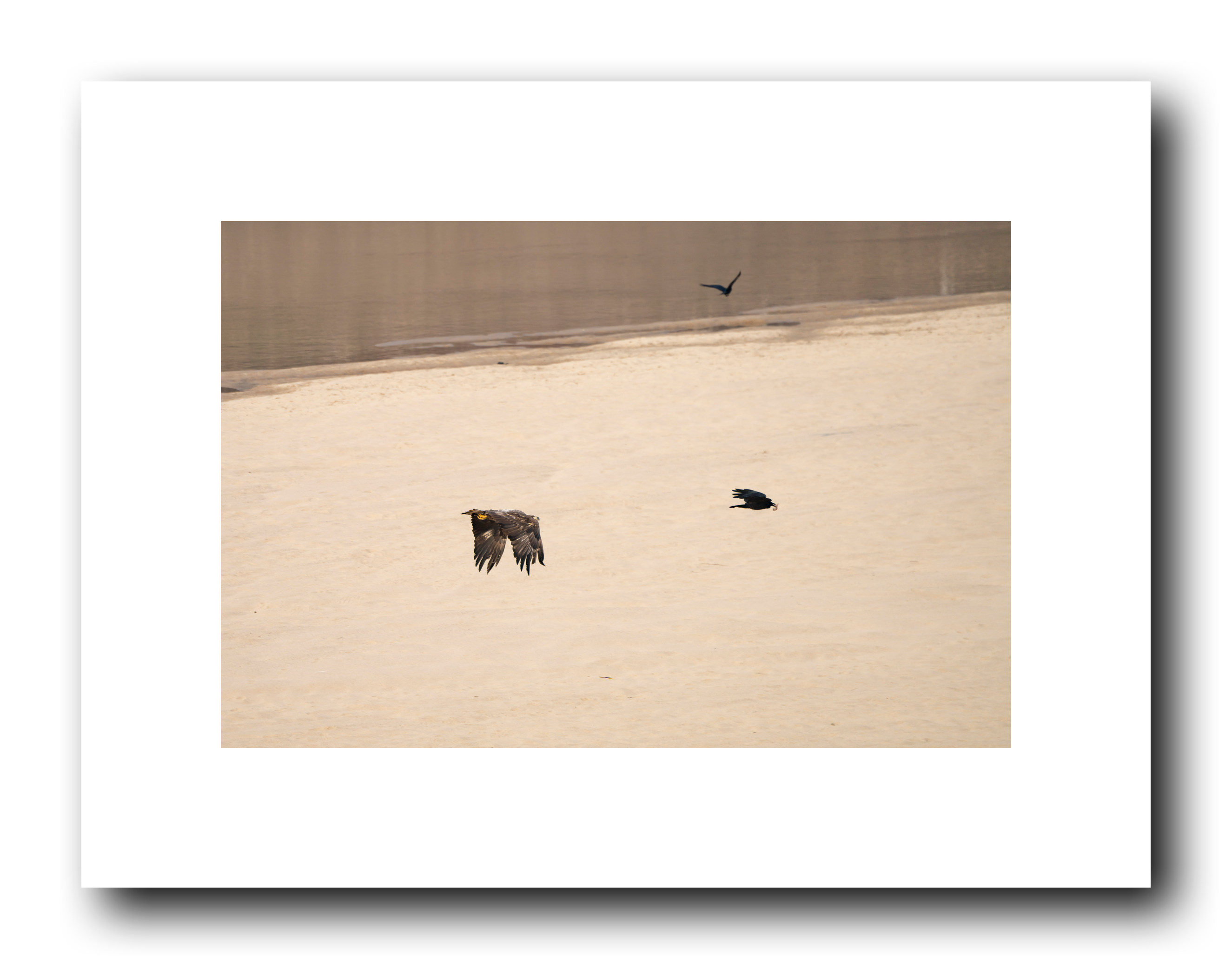 PHOTO BY Sil Sang Kim | ILCE-7RM4 | 2024:03:02 21:18:15 | ISO-100 | 1/1250 sec | f 6.3 | 400 mm | EV=0 | ● WIDTH:2650 pixels  HEIGHT:2083 pixels