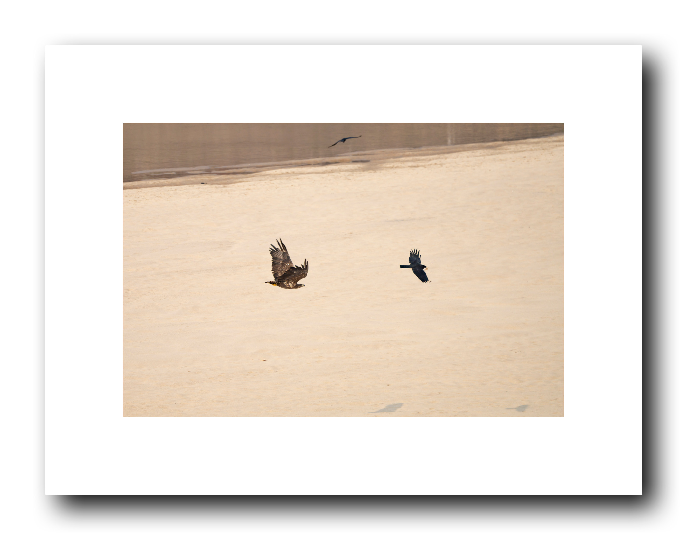 PHOTO BY Sil Sang Kim | ILCE-7RM4 | 2024:03:02 21:18:15 | ISO-100 | 1/1250 sec | f 6.3 | 400 mm | EV=0 | ● WIDTH:2650 pixels  HEIGHT:2083 pixels